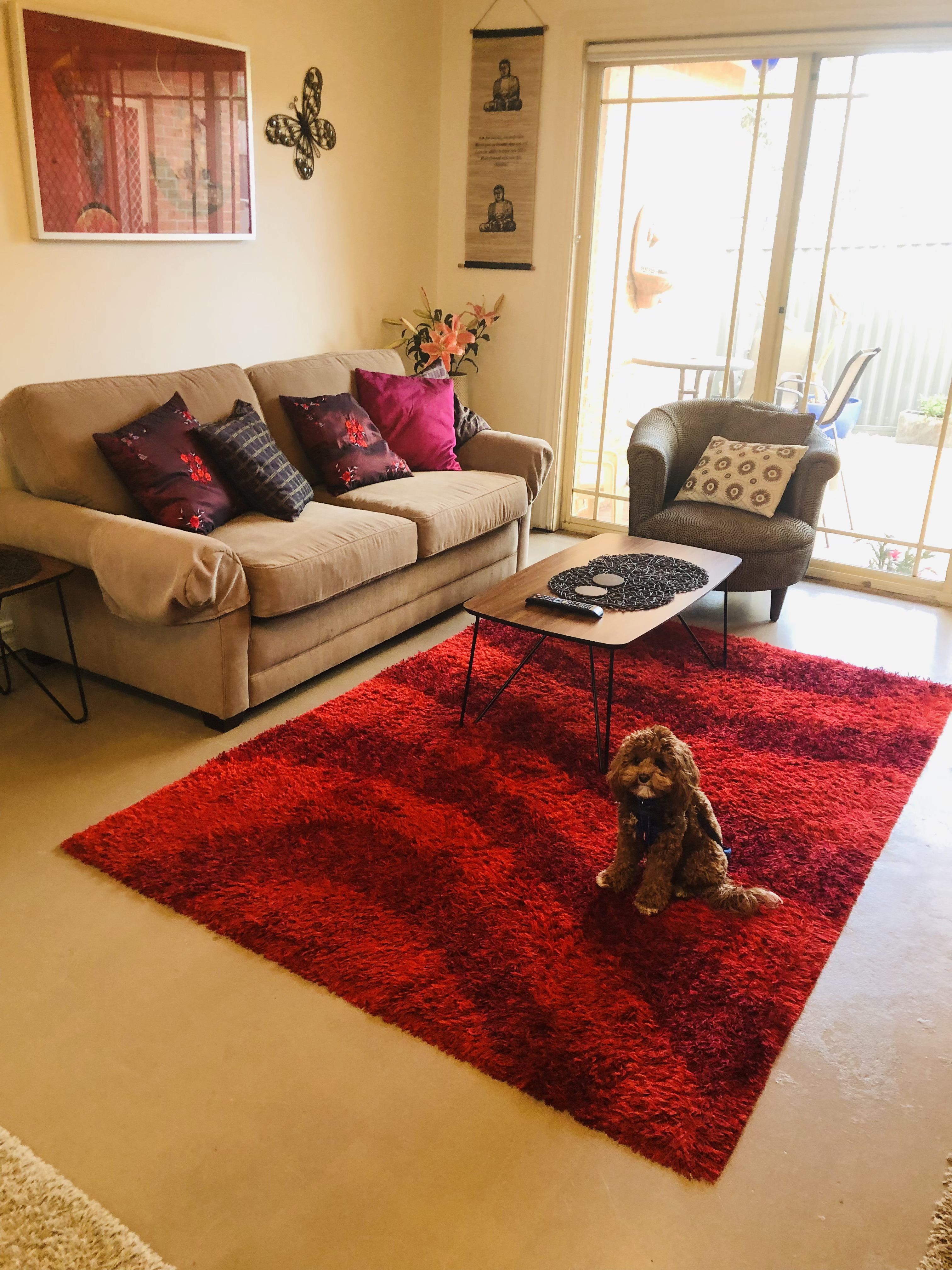 Fully furnished, comfortable house, pet friendly