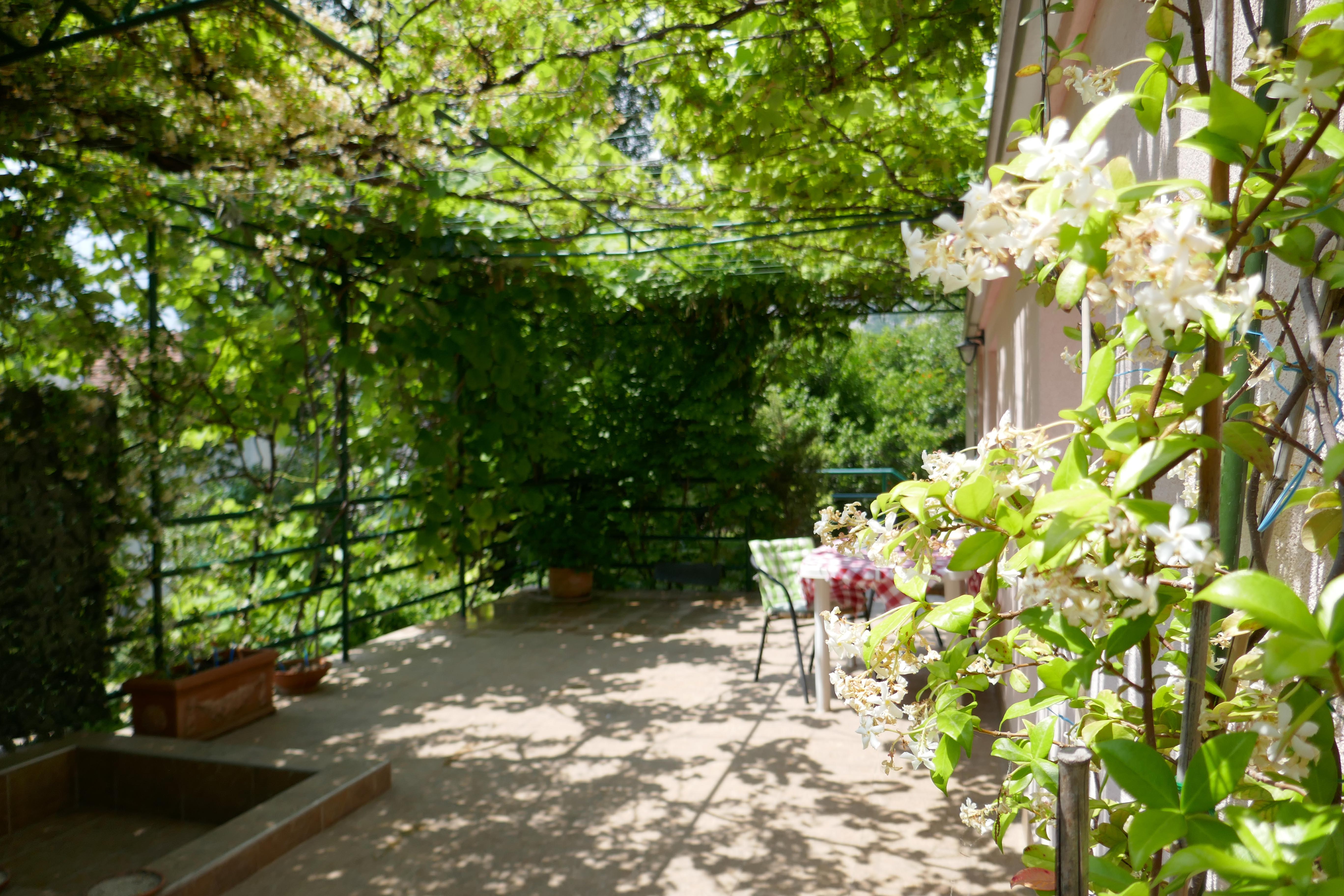 Tranquillity & comfort - spacious studio & terrace