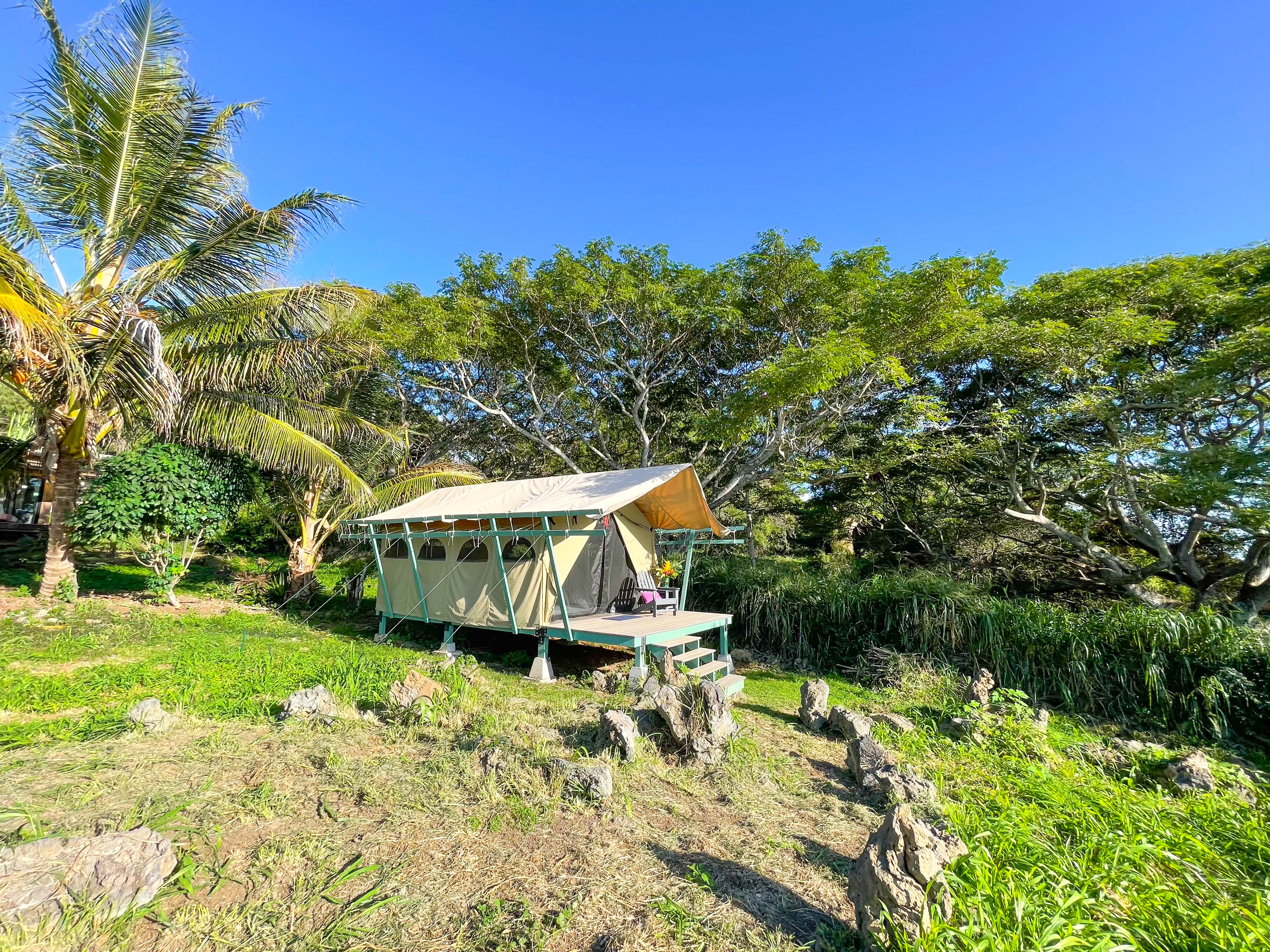 Monkeypod Canopy with Shared Kitchen and Bath