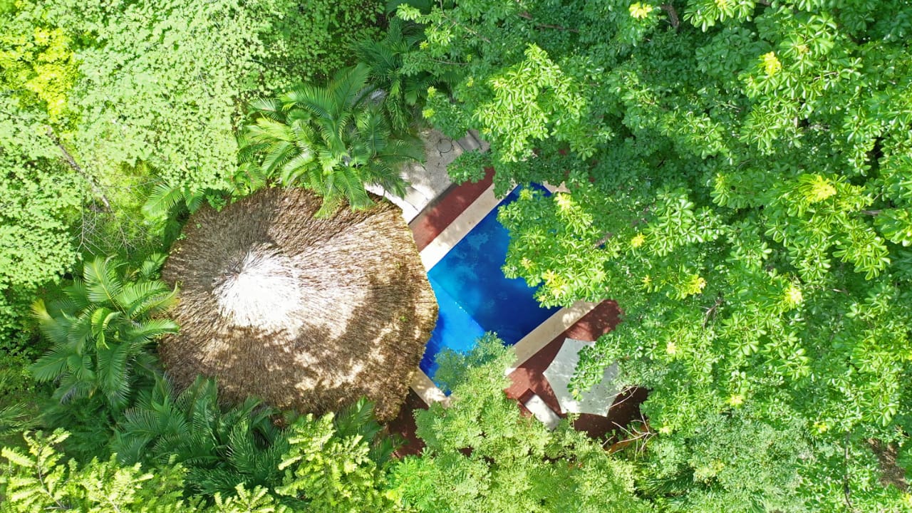 Penthouse Suite - Tropical Hideaway Bequia - Tropical Penthouse Apartments With Private Pool