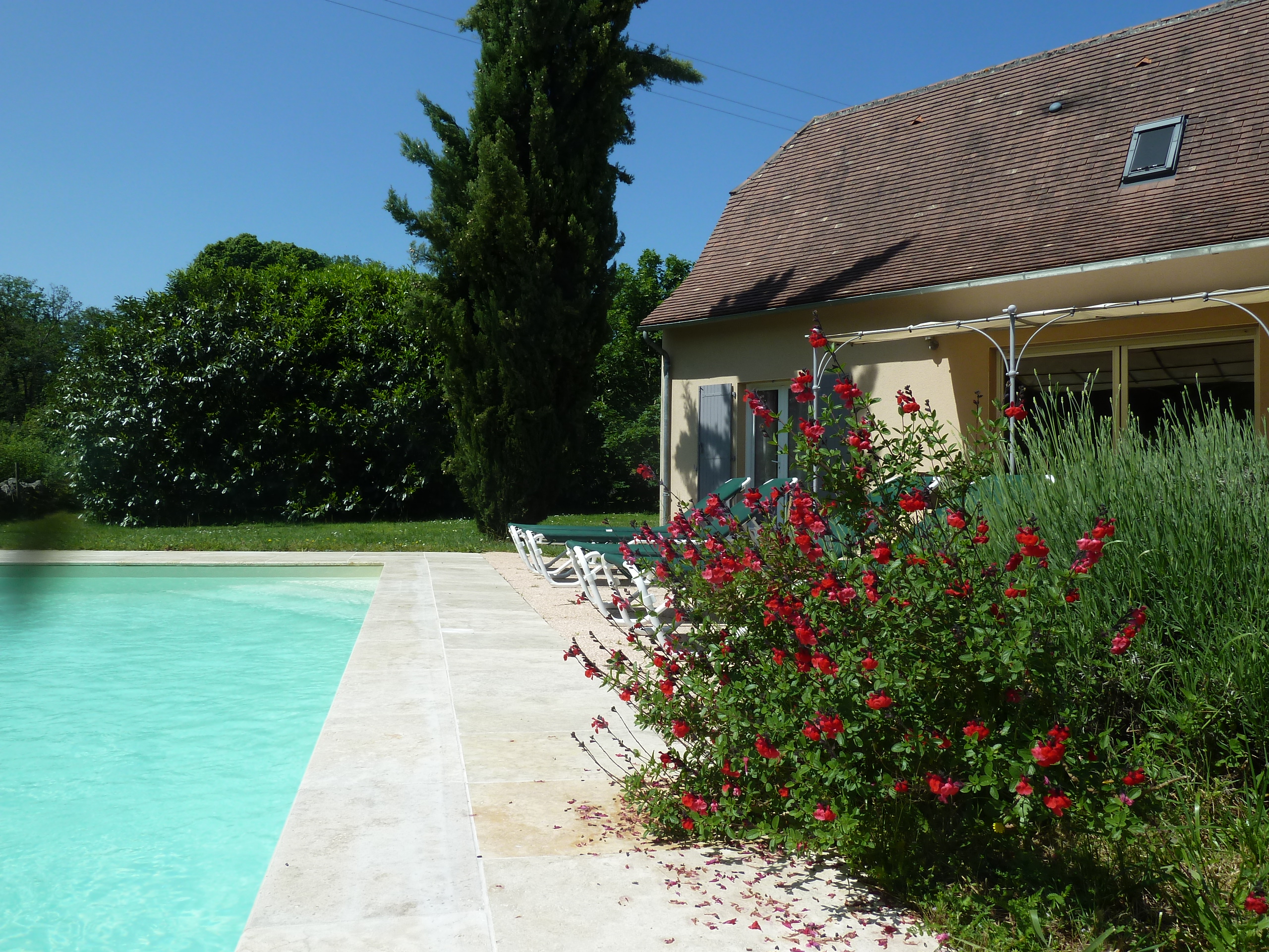House with swimming pool in Loubressac