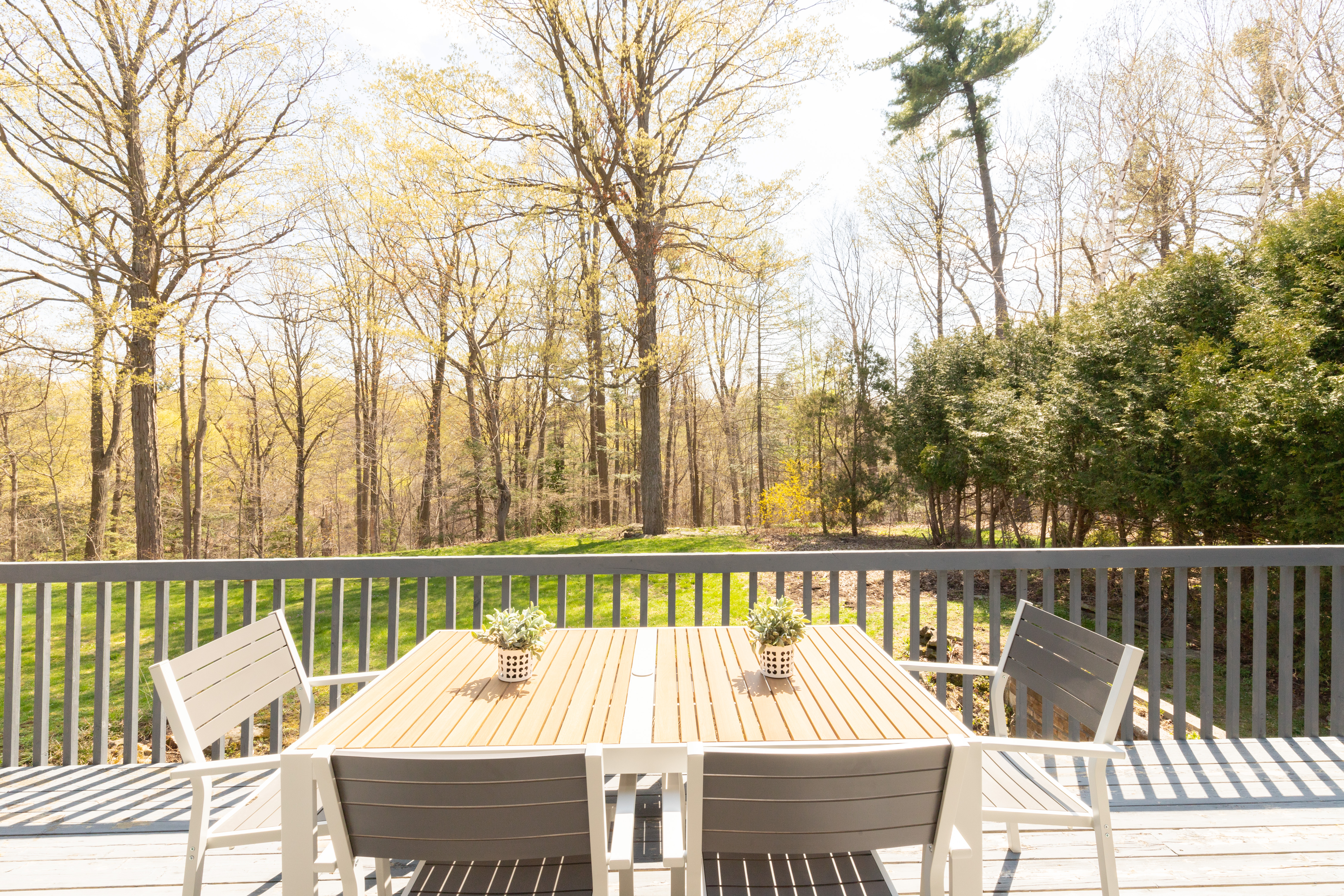 Oasis on a Ravine Forest with Yoga Room
