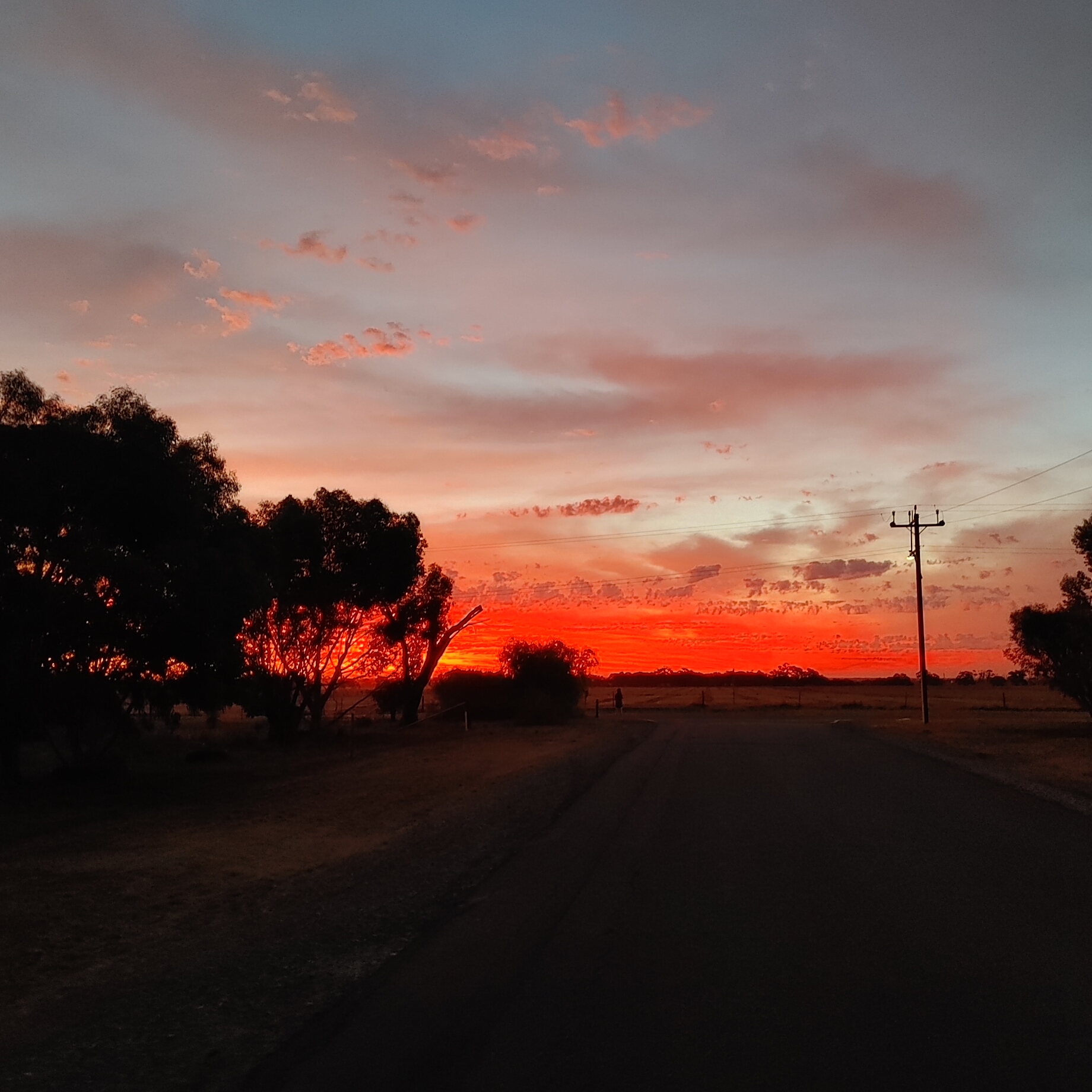 Roseworthy - Rural Living Barossa in Roseworthy, Barossa Valley