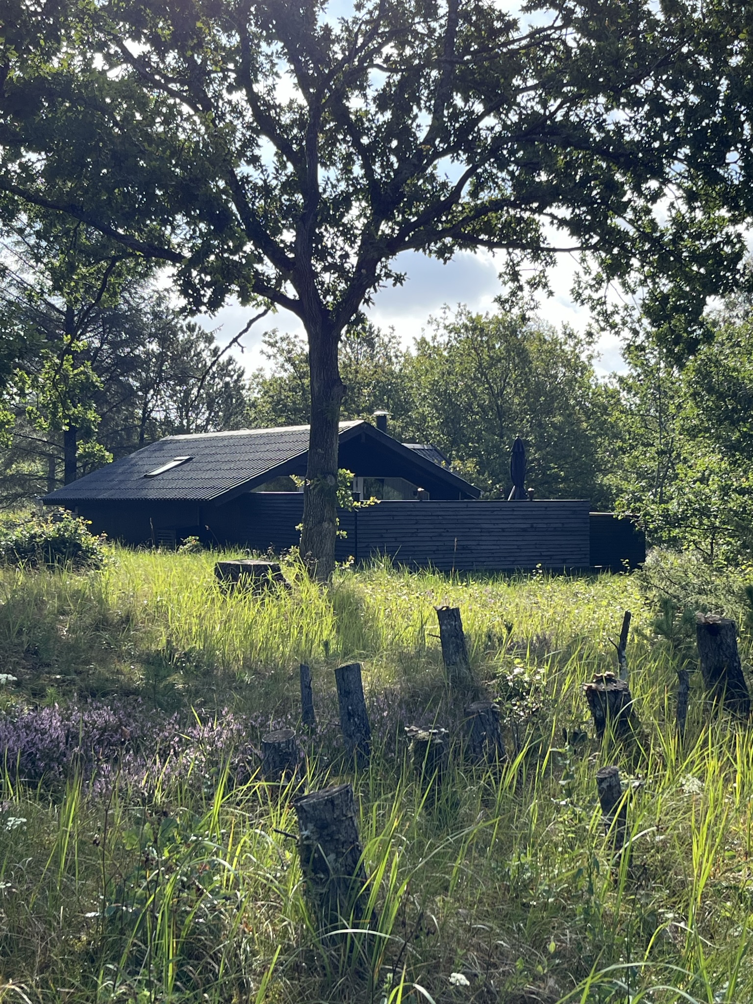 Cozy cottage in the plantation.