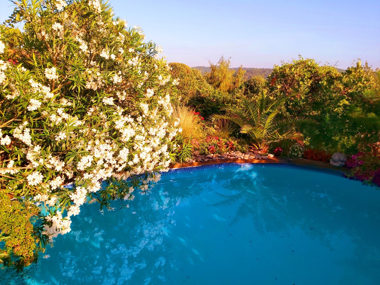Logis Lavandes with garden & pool