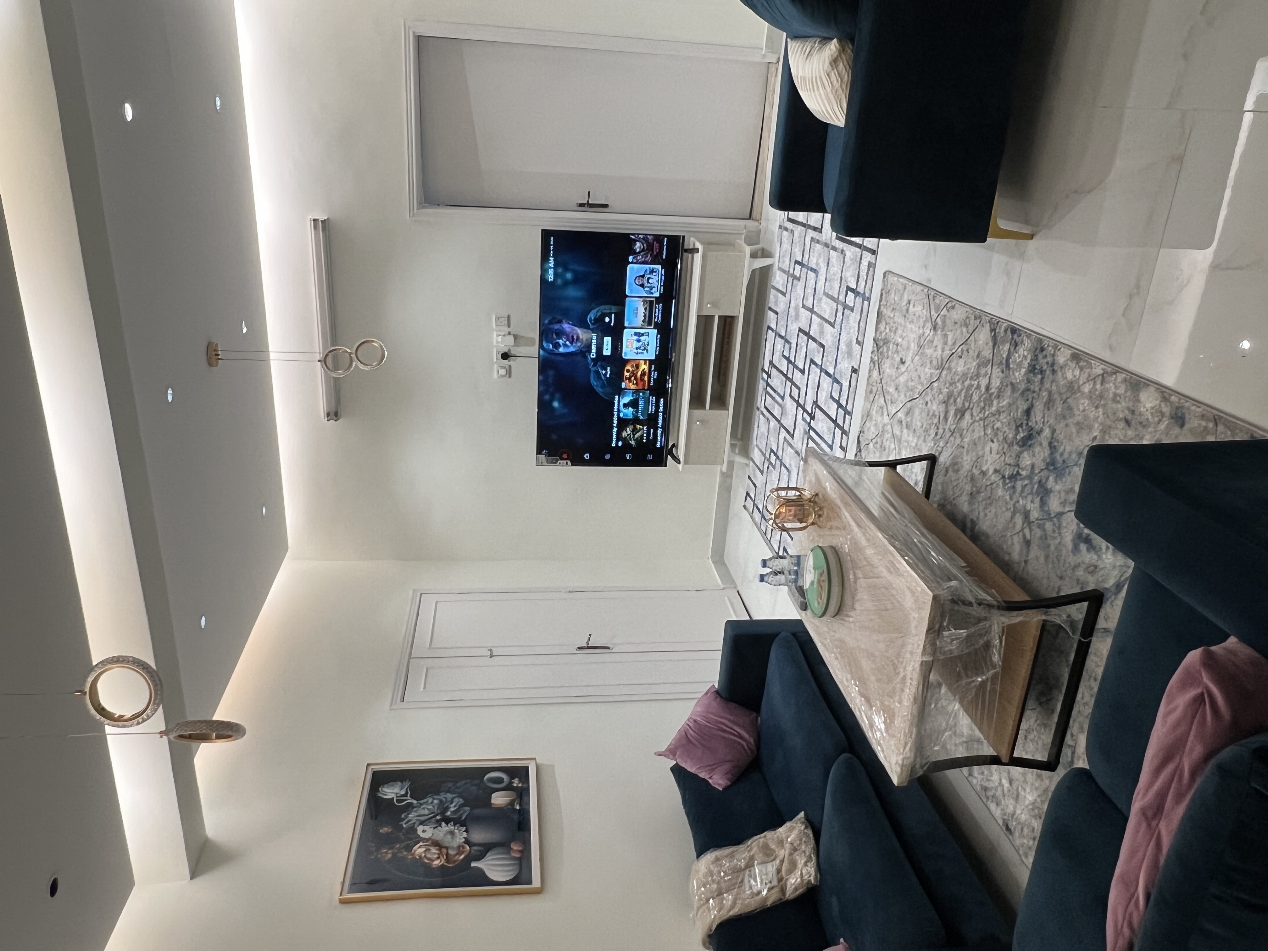 Spacious and elegant apartment