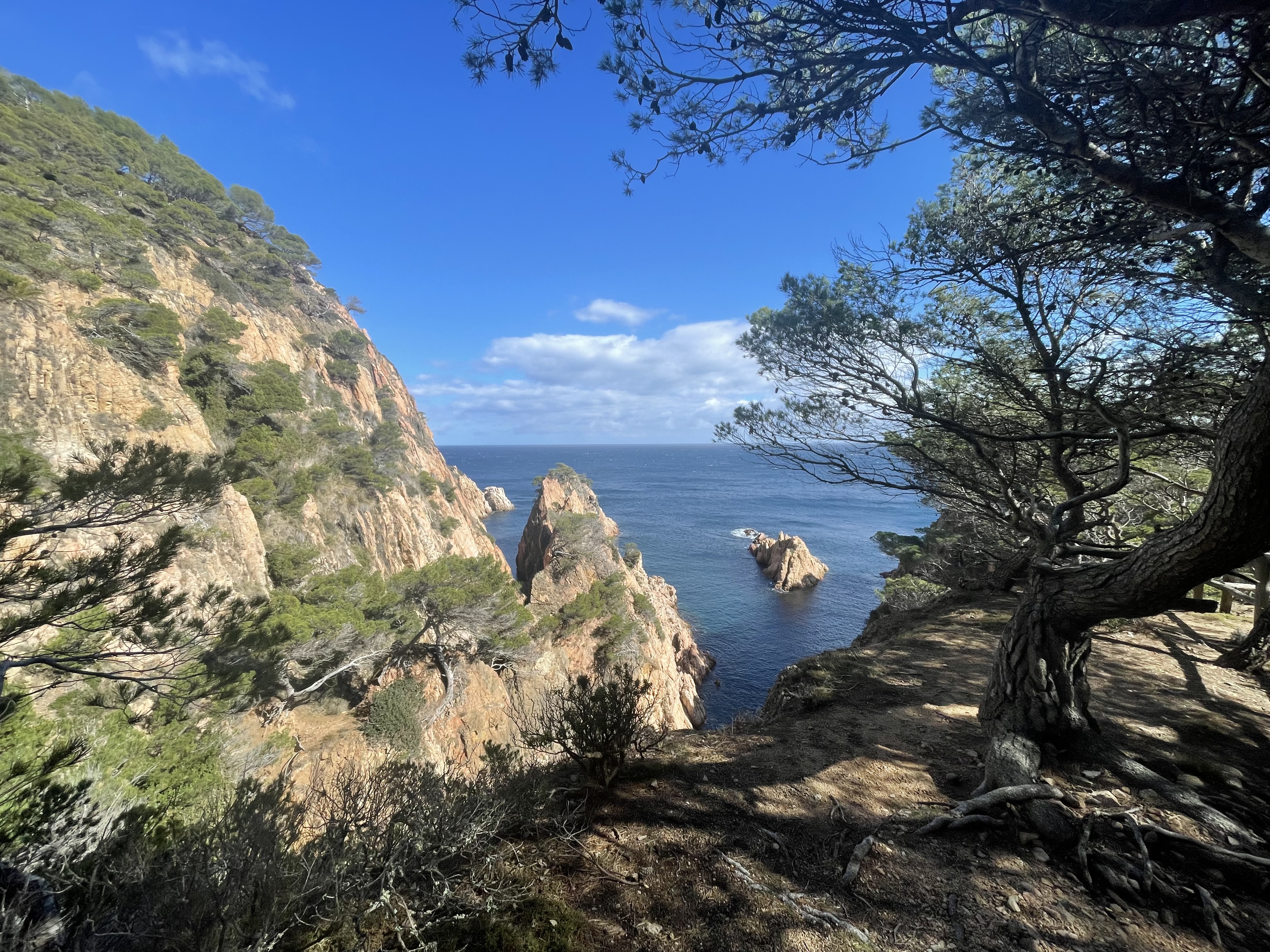 Equipped apartment F3 with pool and sea view