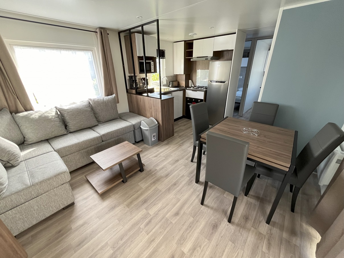 New premium mobile home