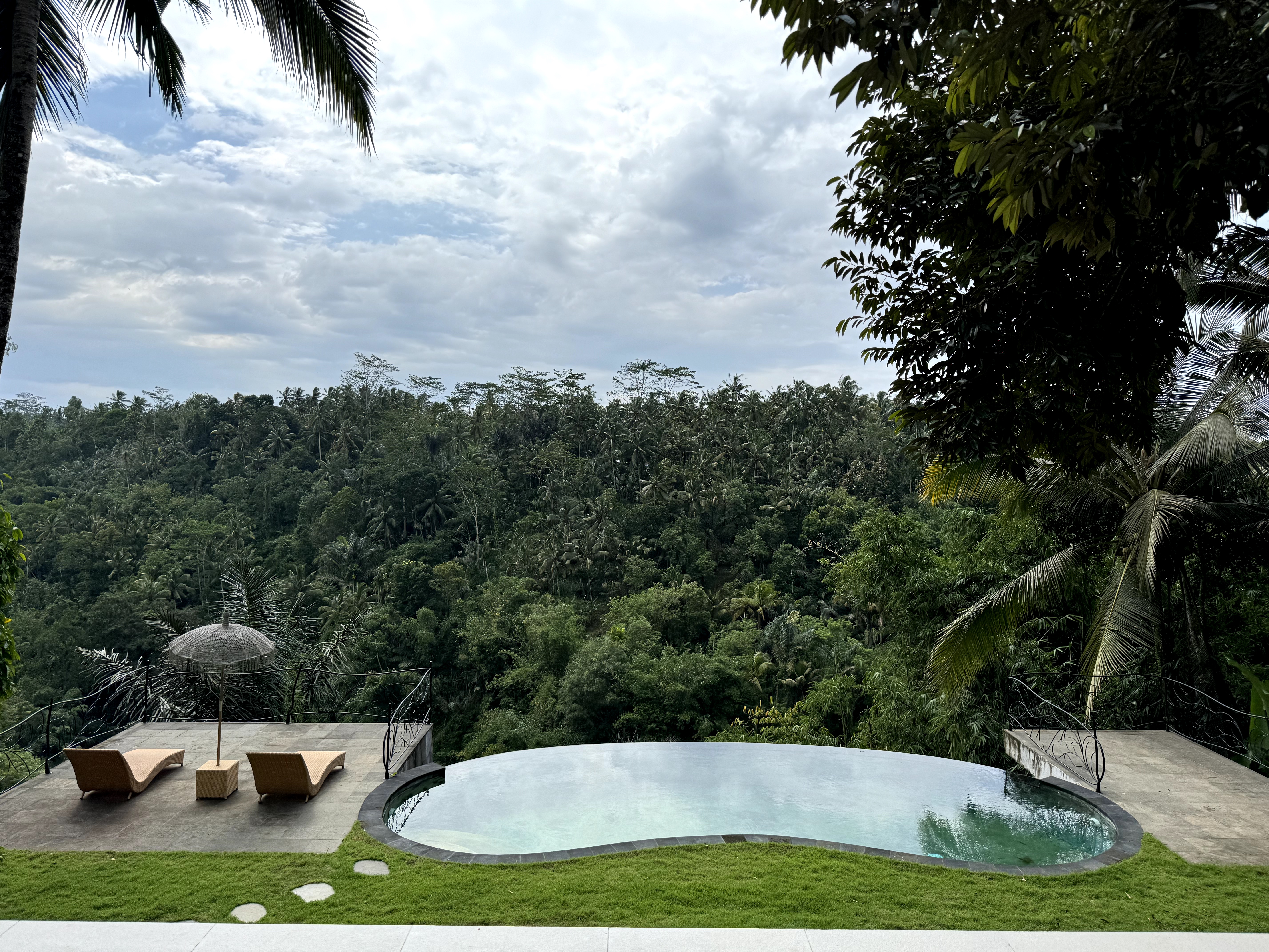 villa with jungle view, pool and private park