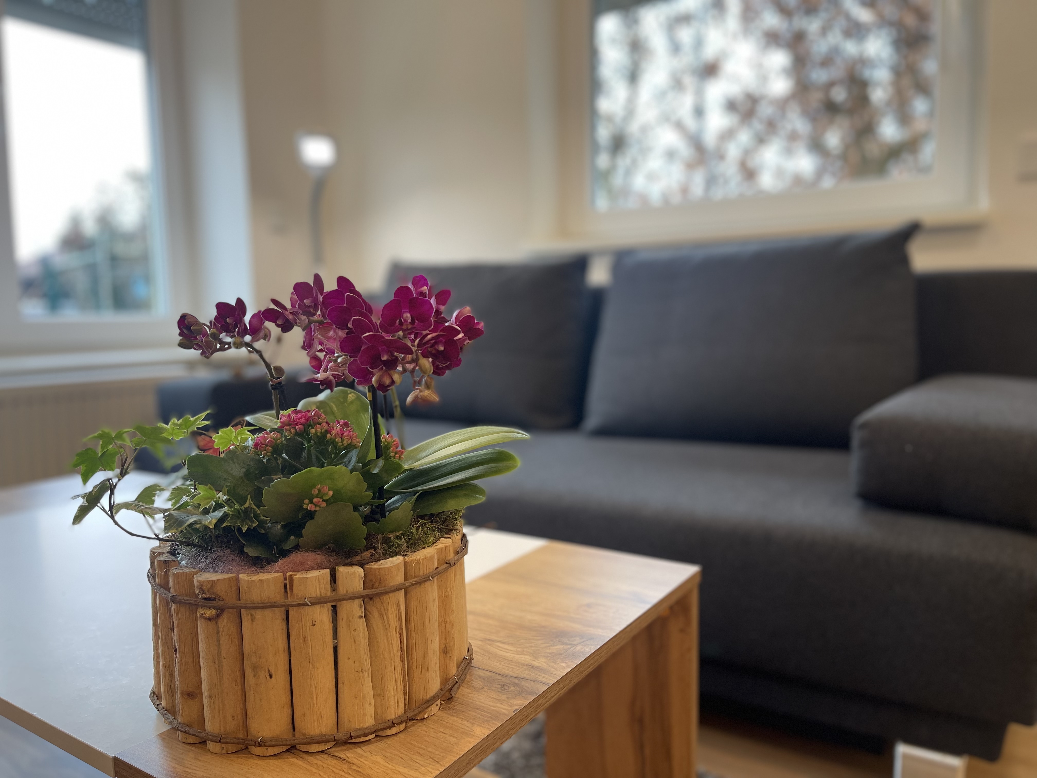 Ferienwohnung Bergblick