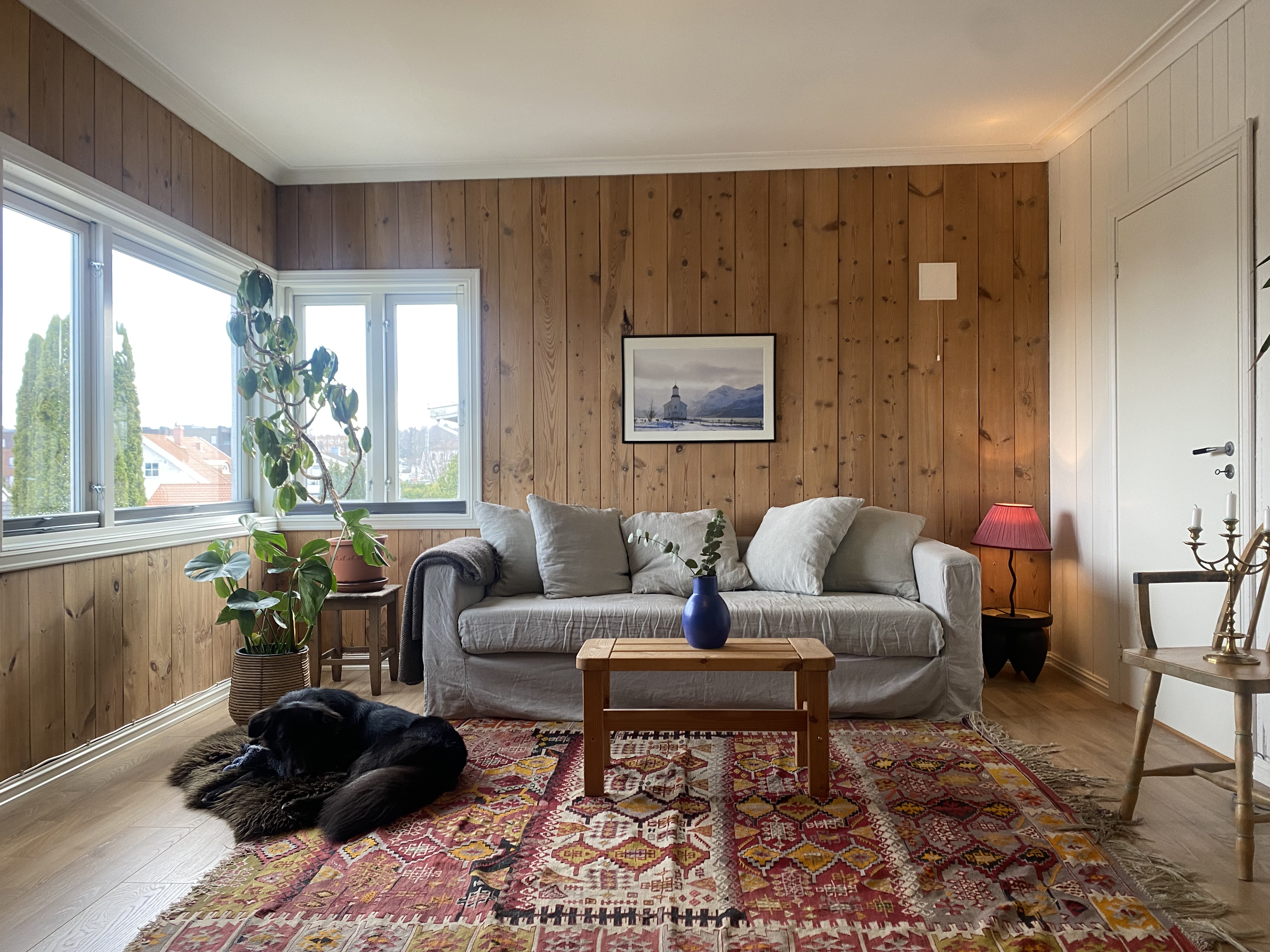 Cozy and central apartment