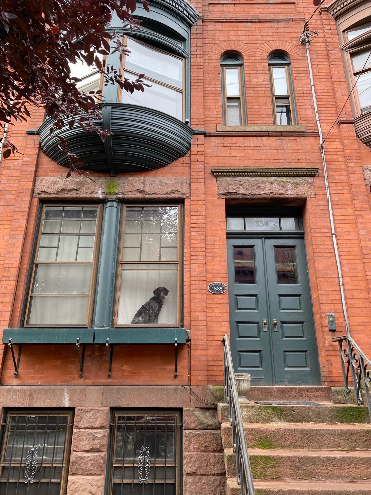 Cozy apartment in Albany in SIXTH WARD, Albany