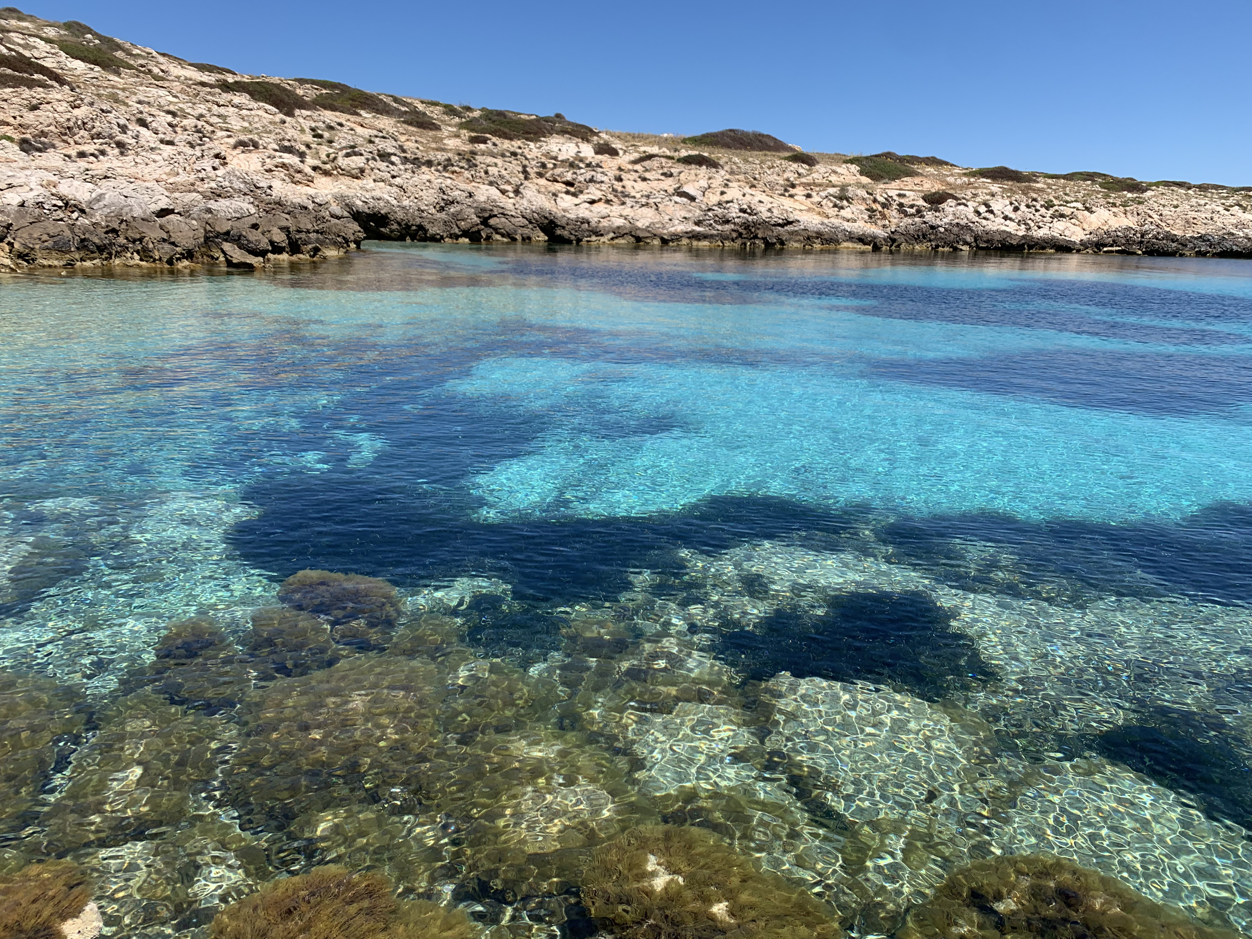 In pineta Luxury House - Levanzo