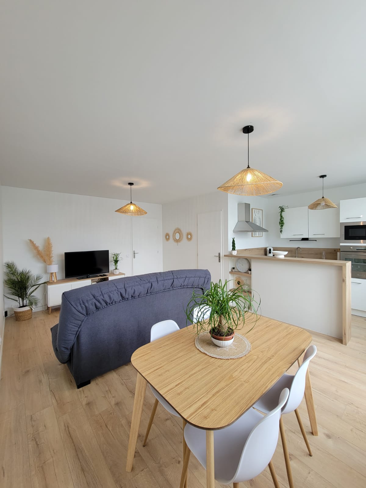 Apartment Lumineux