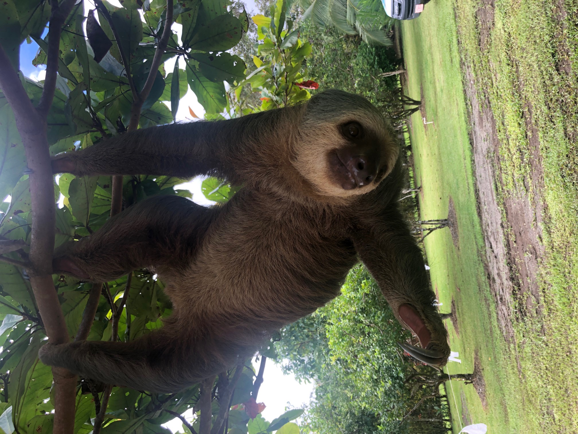 Hidden Gem in Costa Rica!