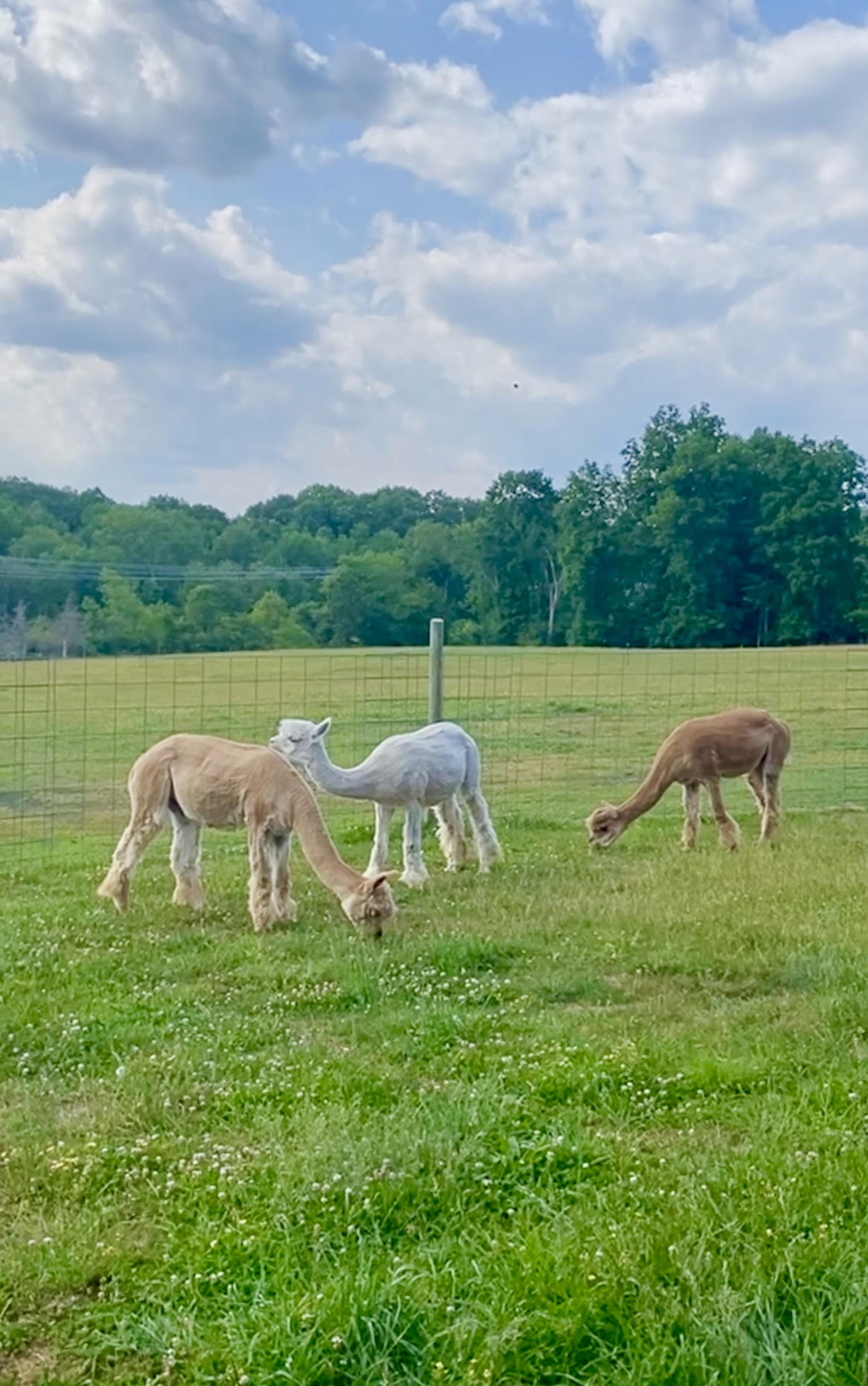 Hudson Valley Farm Getaway- East