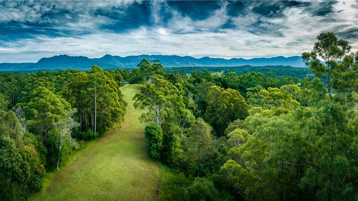 Peaceful Flat in Bellingen