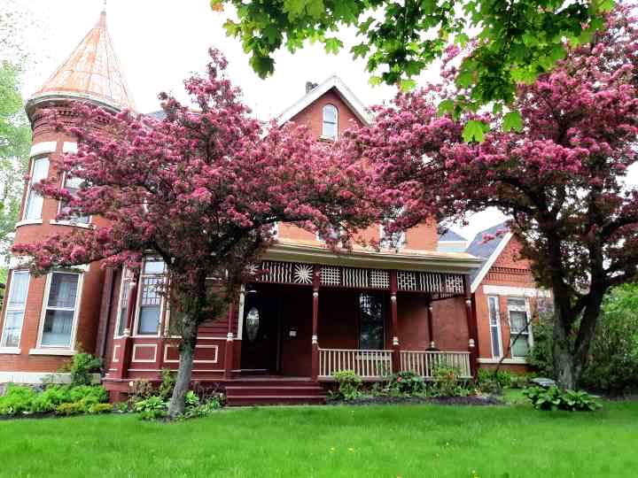 Bachelor on a Budget in City of Saint John, New Brunswick