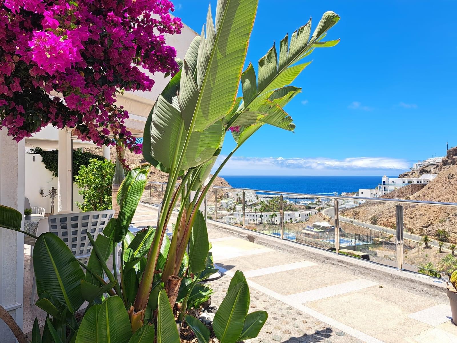 Mirador de la Palmera