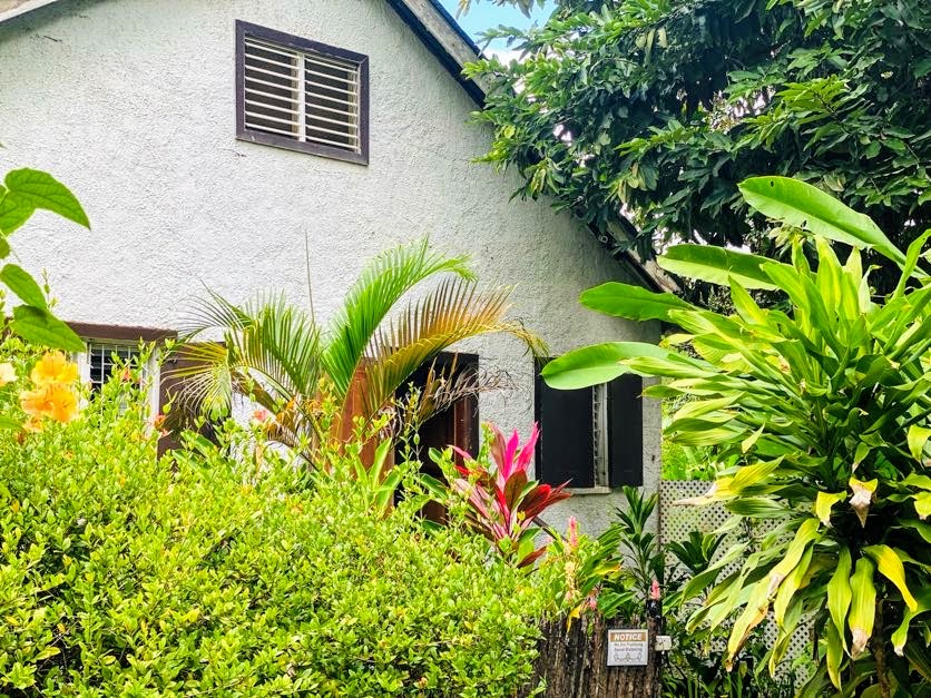 Family House/ 3 Bedrooms/ Pool Access/ Garden View in Cayo, Belize