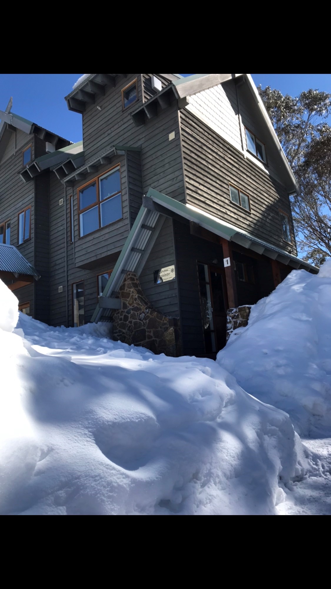 Snow Brainer - dog friendly