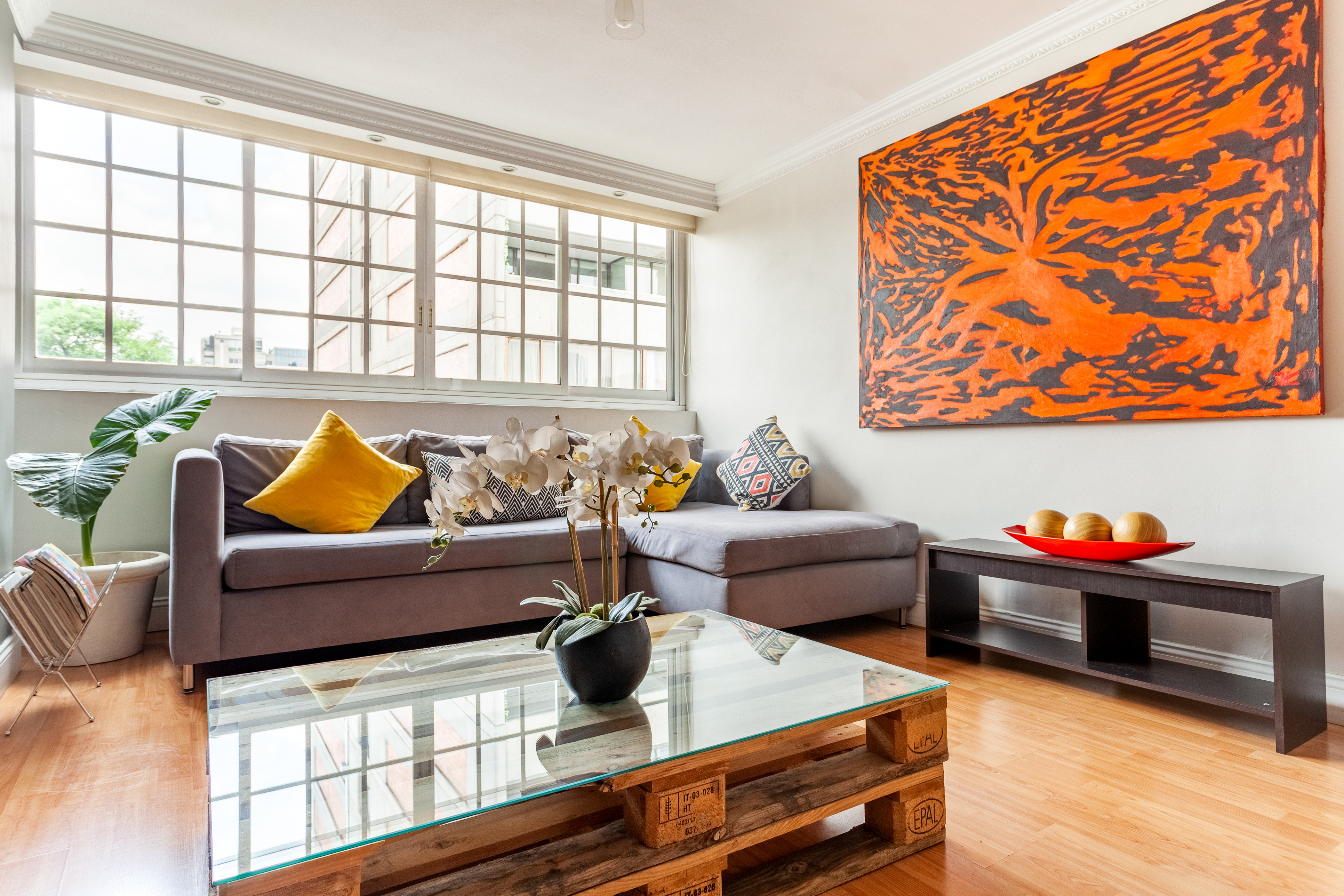 Amazing Apt. in Polanco!