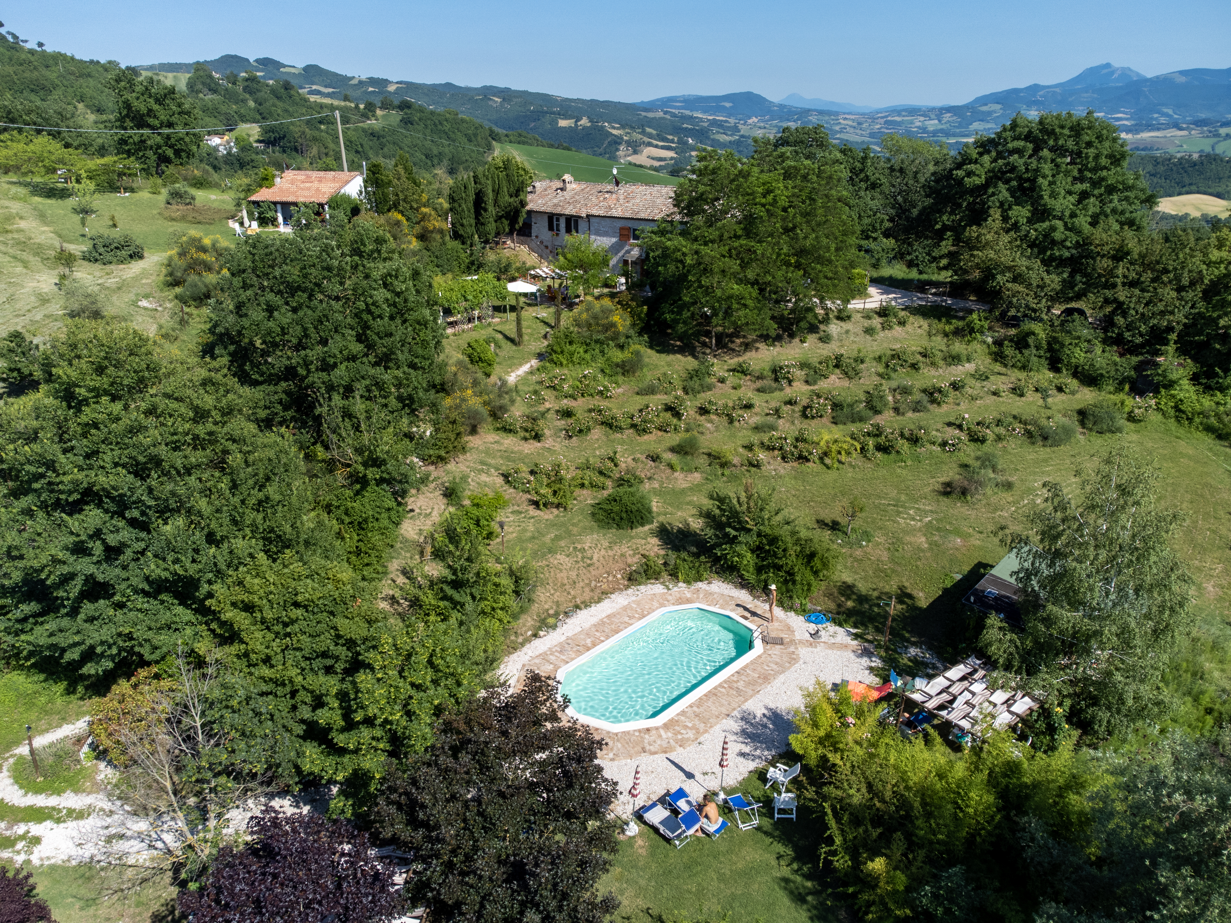 Pettirosso Cin :it041007c2hb2bixep