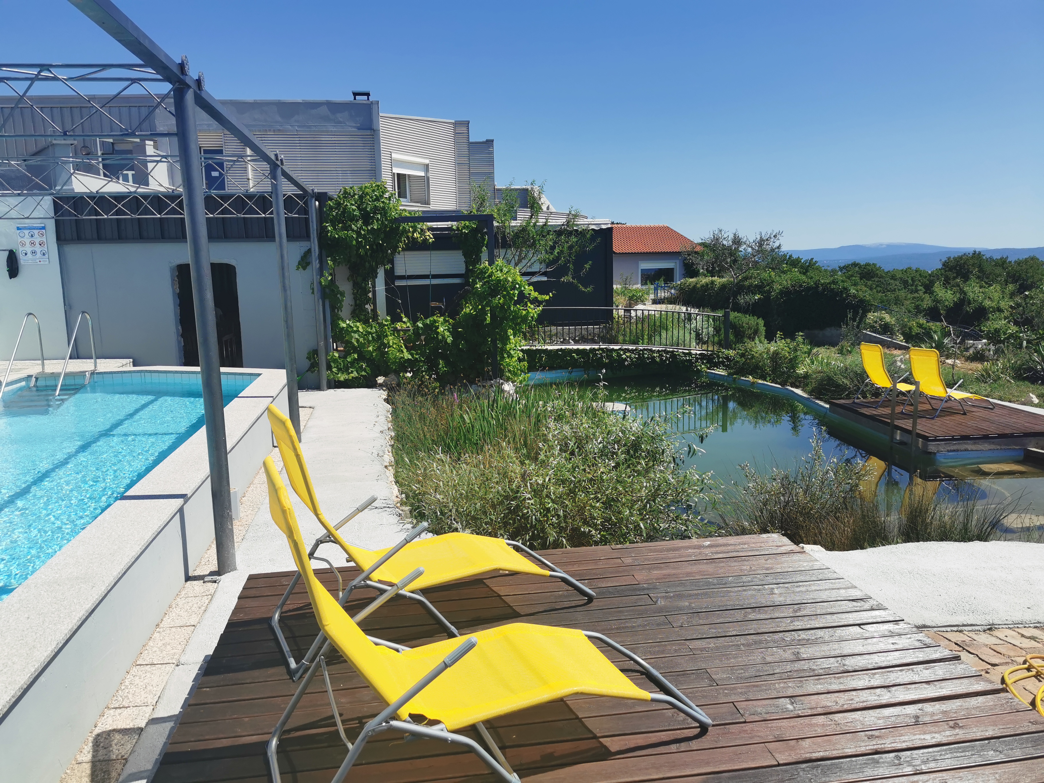 Charming apartment on donkey farm  (Rosemary)