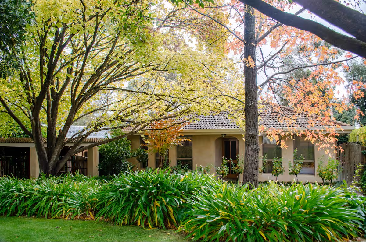 13Elizabeth in Tanunda, Barossa Valley