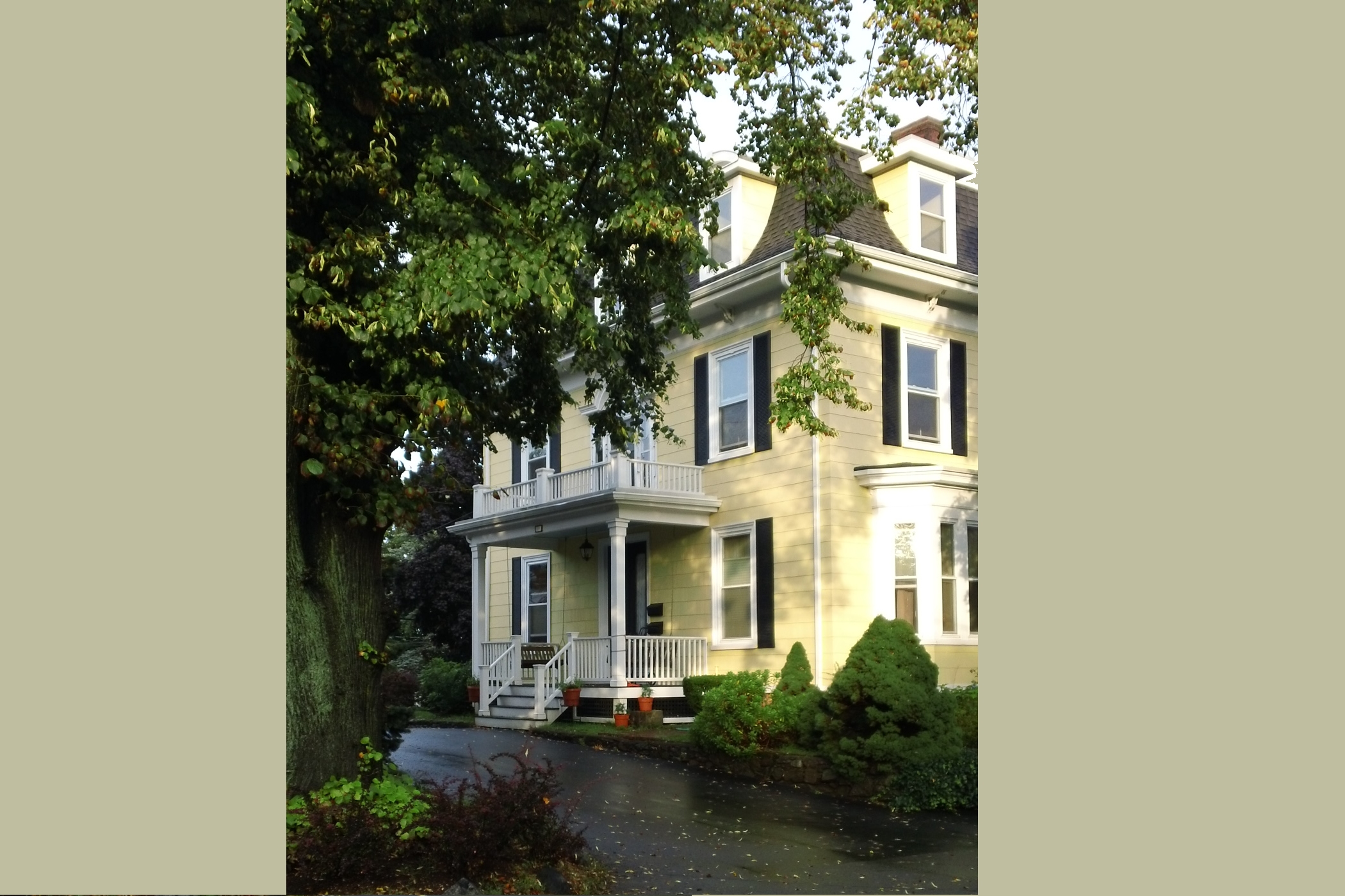 2 bedroom 1st Floor Apartment in Savin Hill