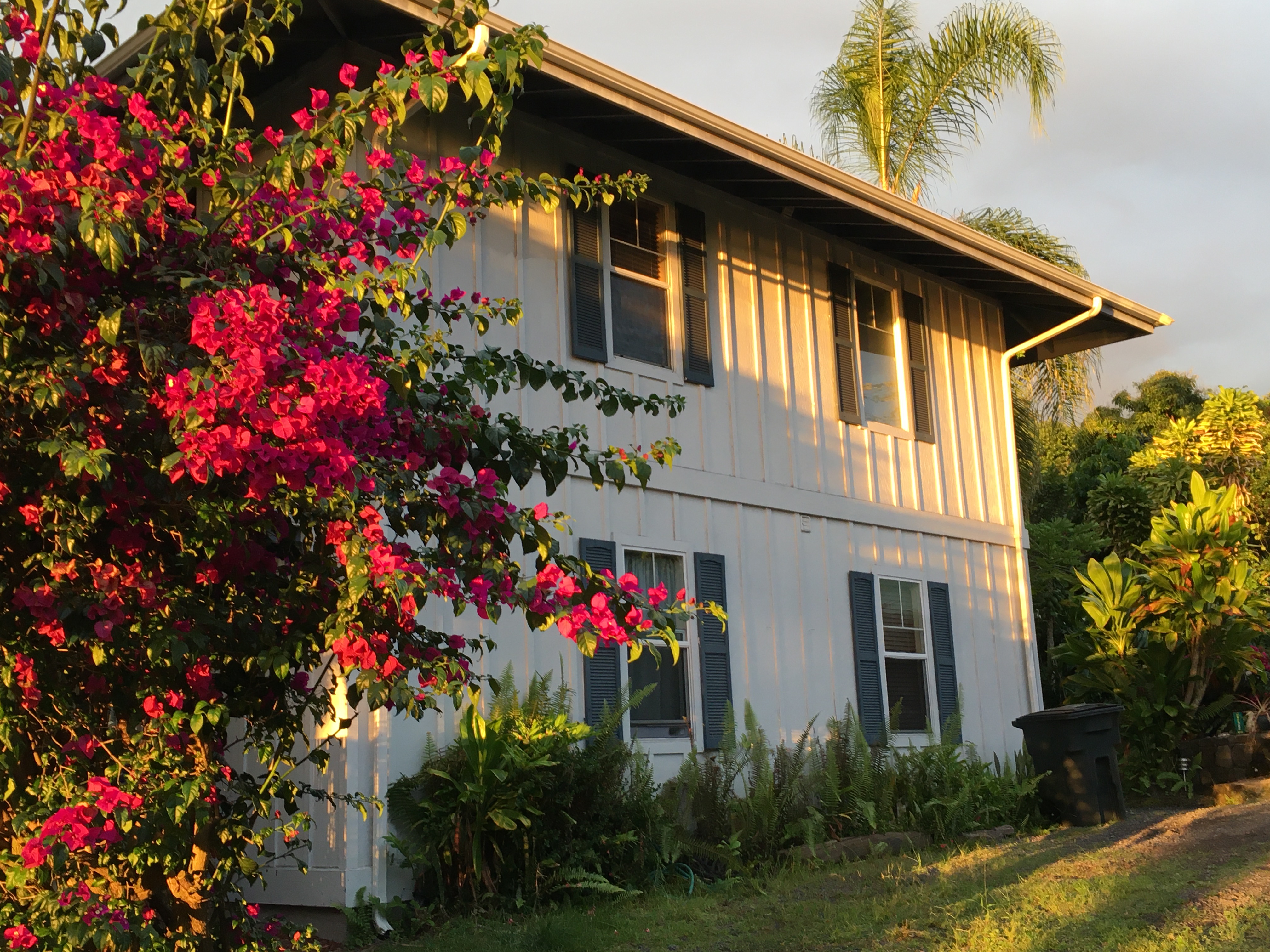 The Kealakekuan in South Kona, Hawaii