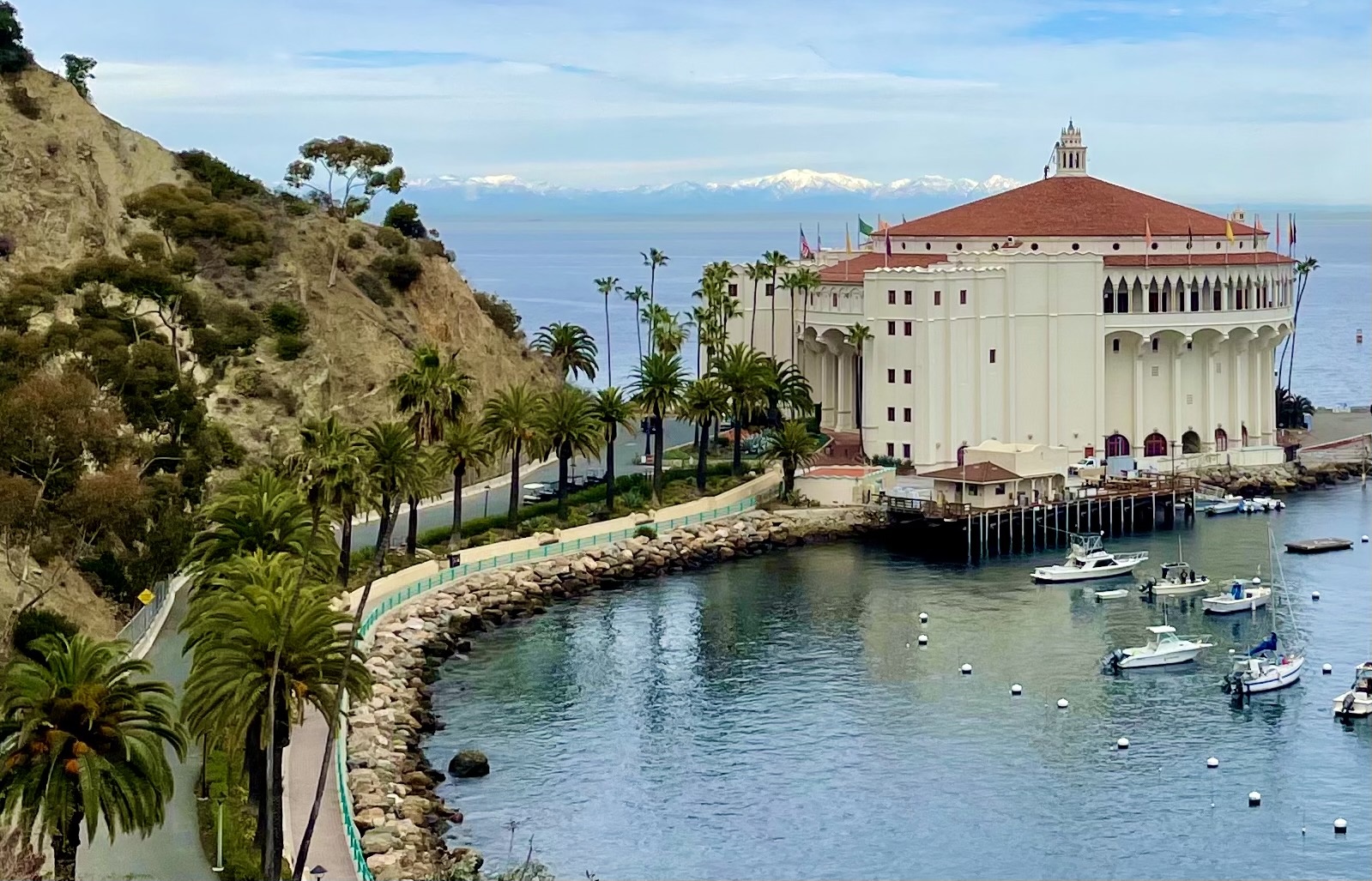 FamilyFriendly Avalon Penthouse Condominiums for Rent in Avalon