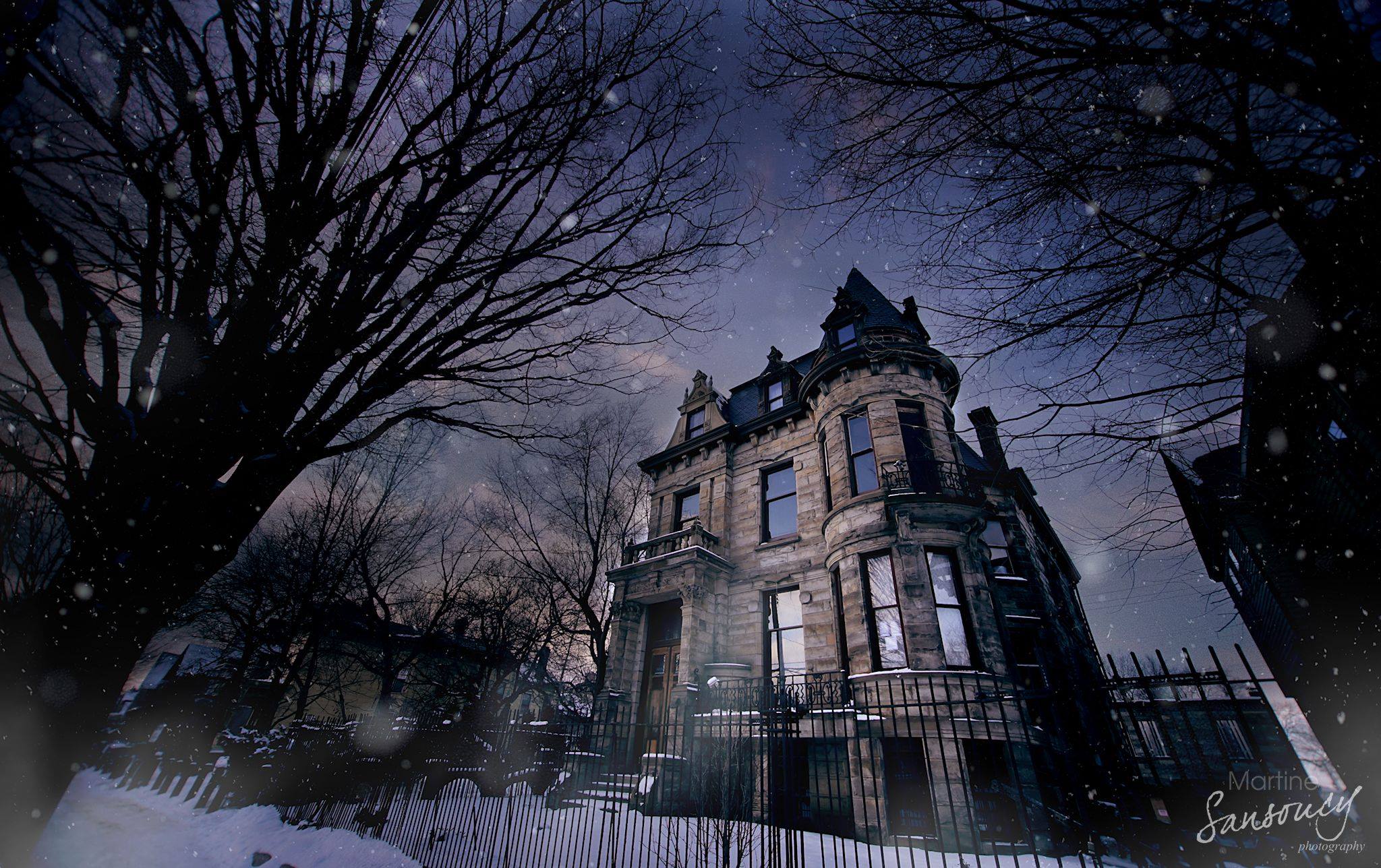 A Haunted Beauty - Eerie side - Castles for Rent in Cleveland