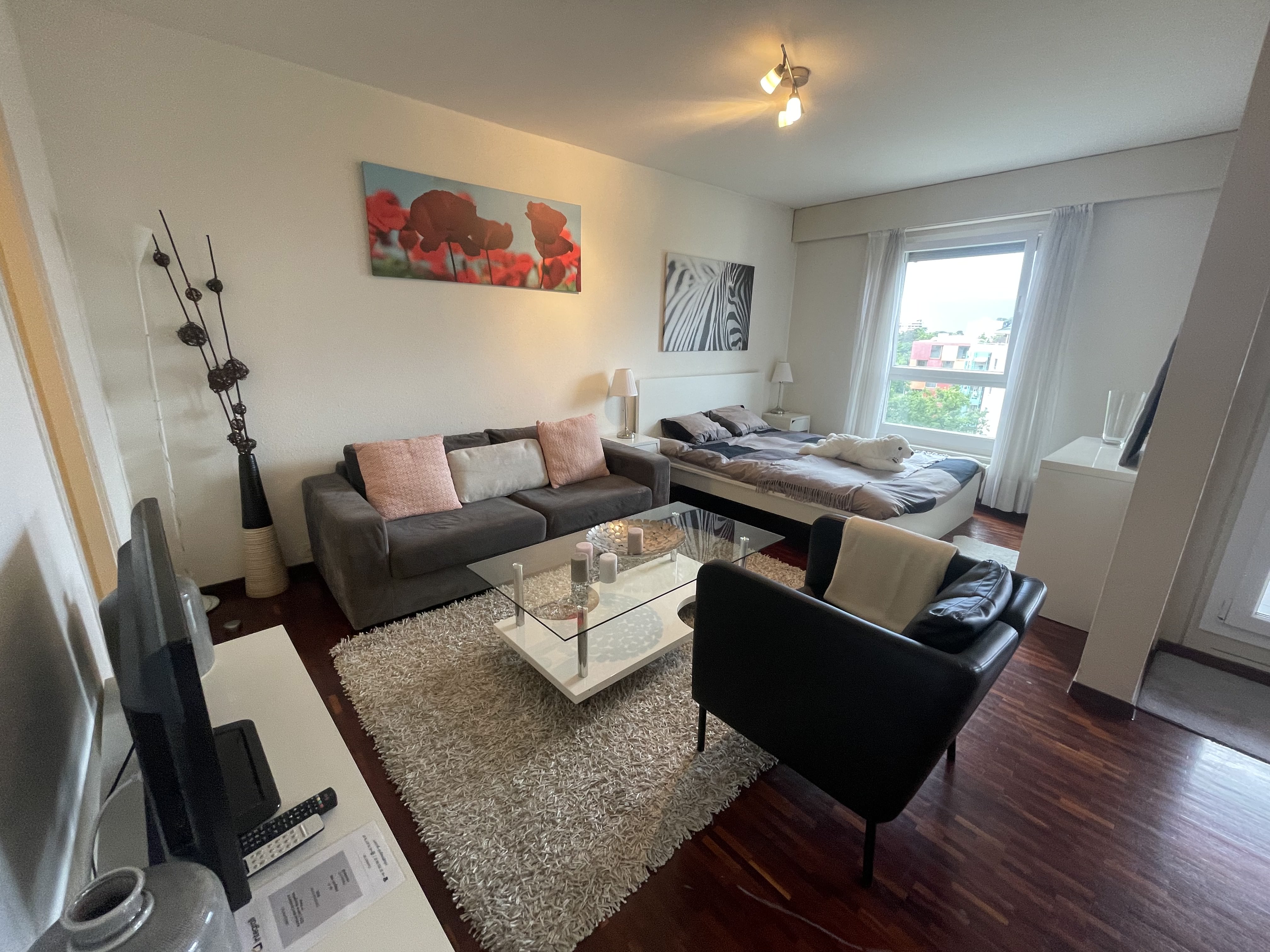 Furnished apartment Geneva - 1 bedroom studio in Chêne-Bougeries, Geneva