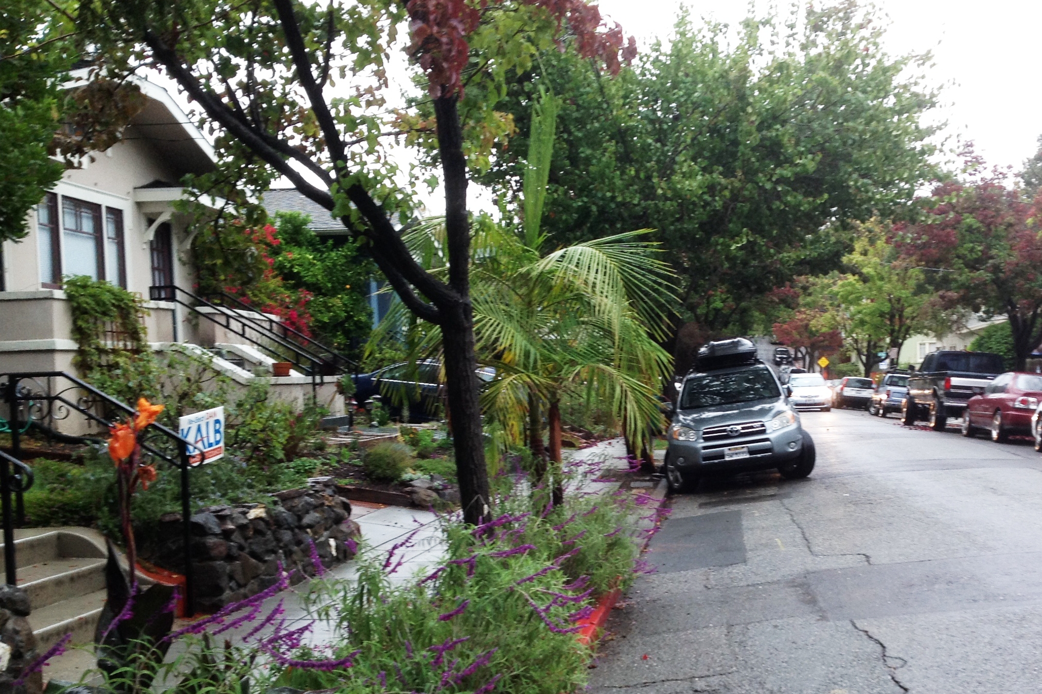Piedmont Ave Basement Studio! Walk anywhere in Piedmont Avenue, Oakland
