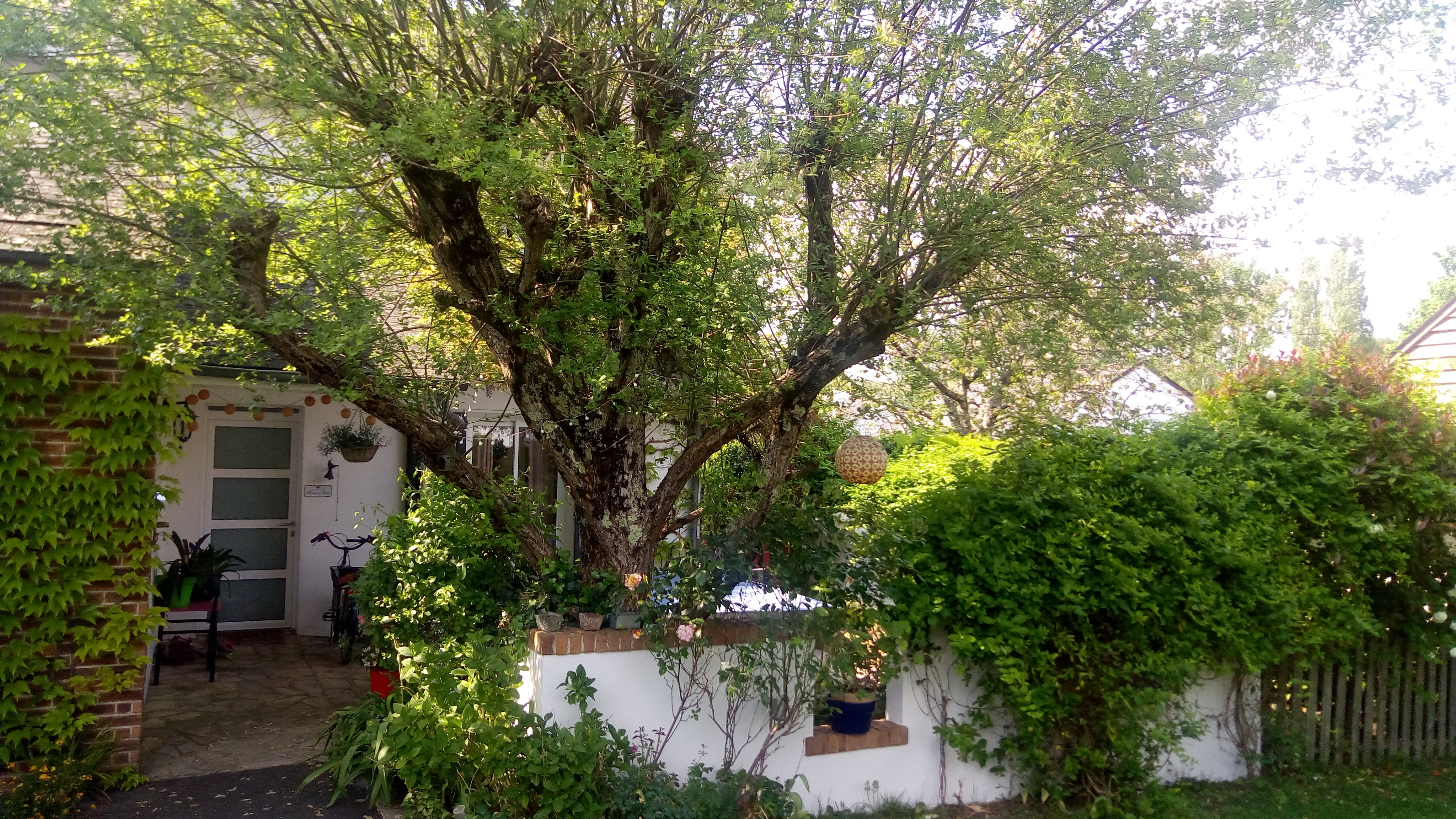 Large and colorful family home in Touraine
