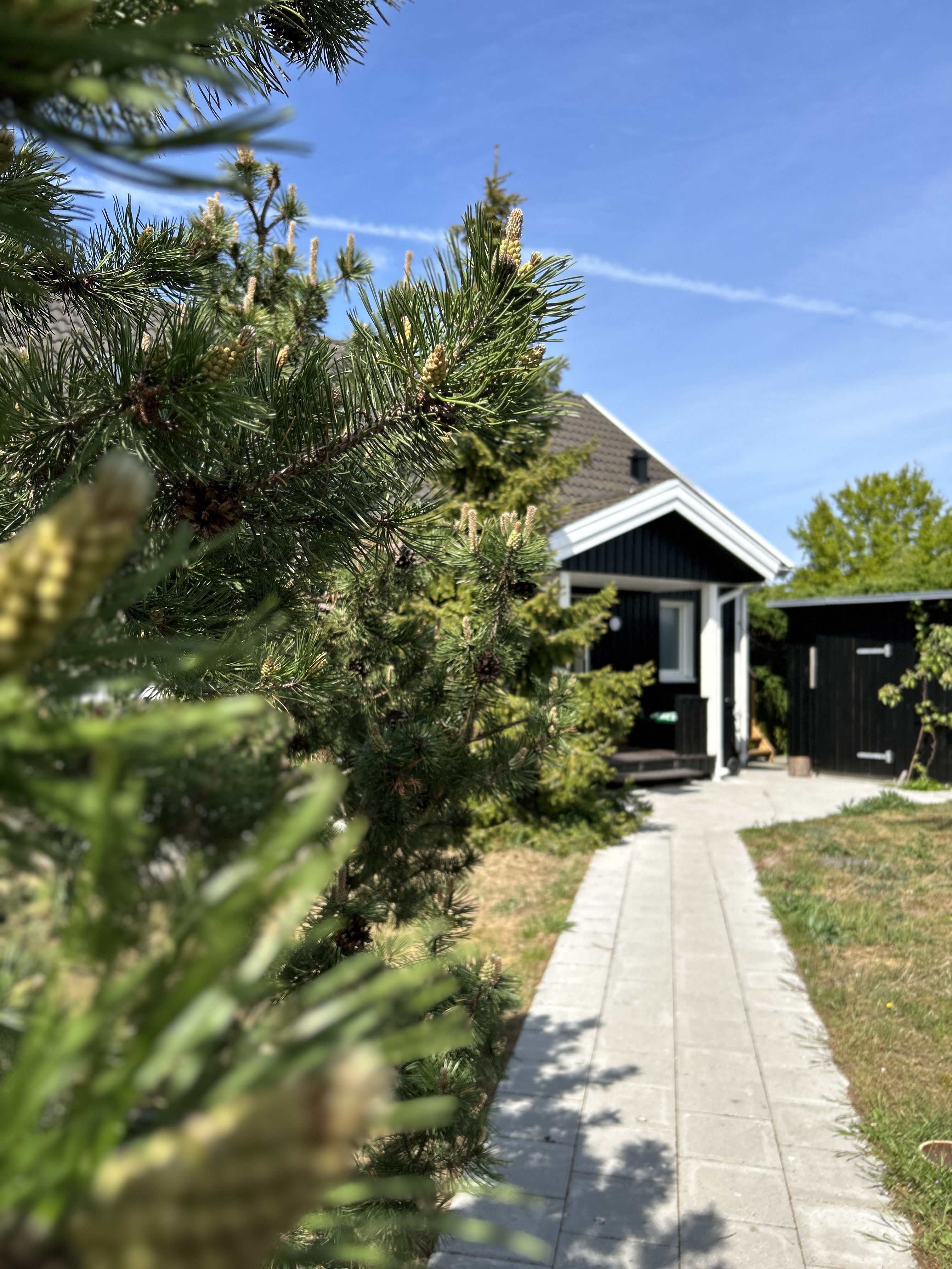 5 min from Lynæs Surfcenter and 2 min to the beach