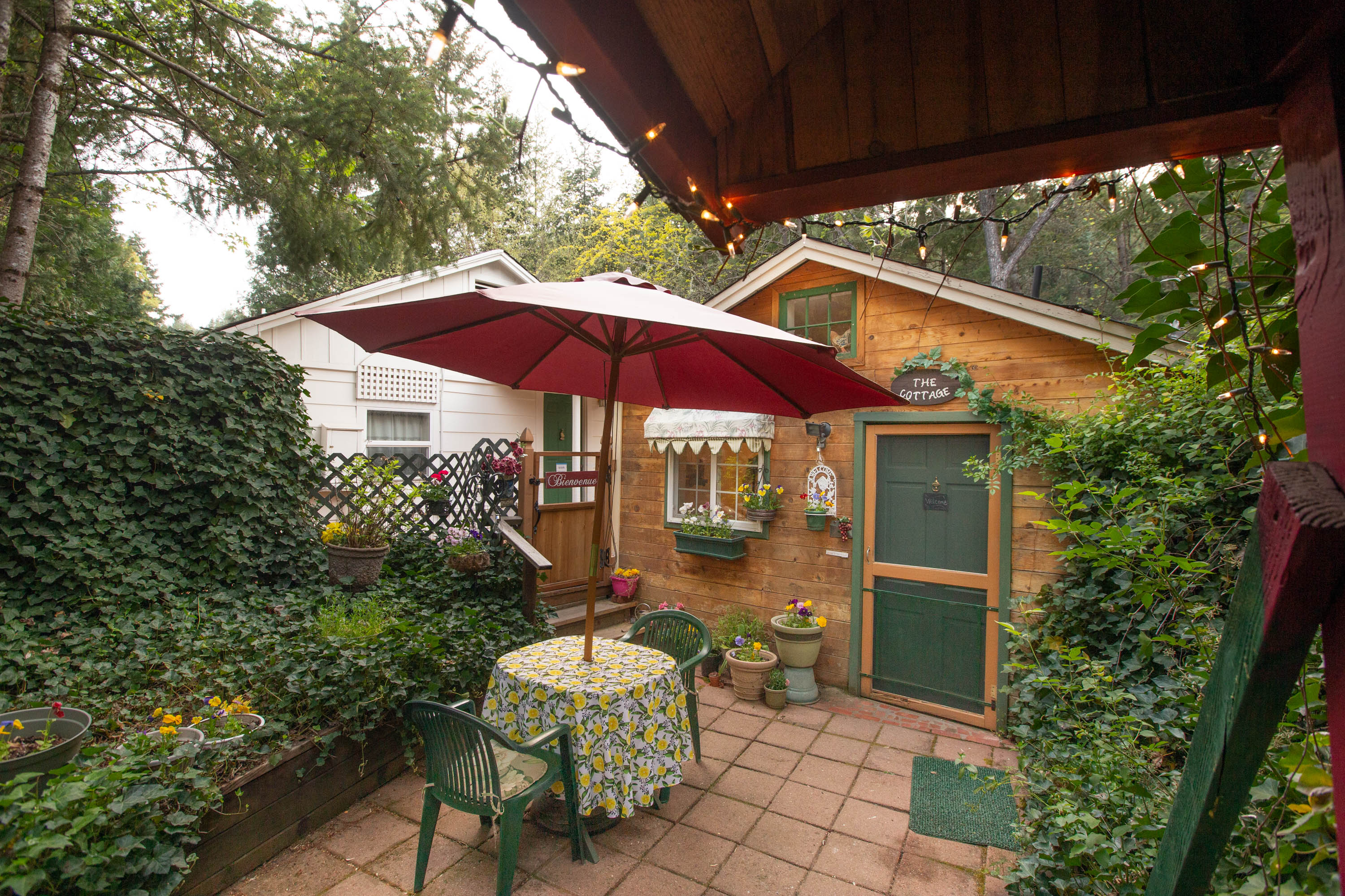 Cozy Jacksonville Cottage Guesthouses for Rent in Jacksonville