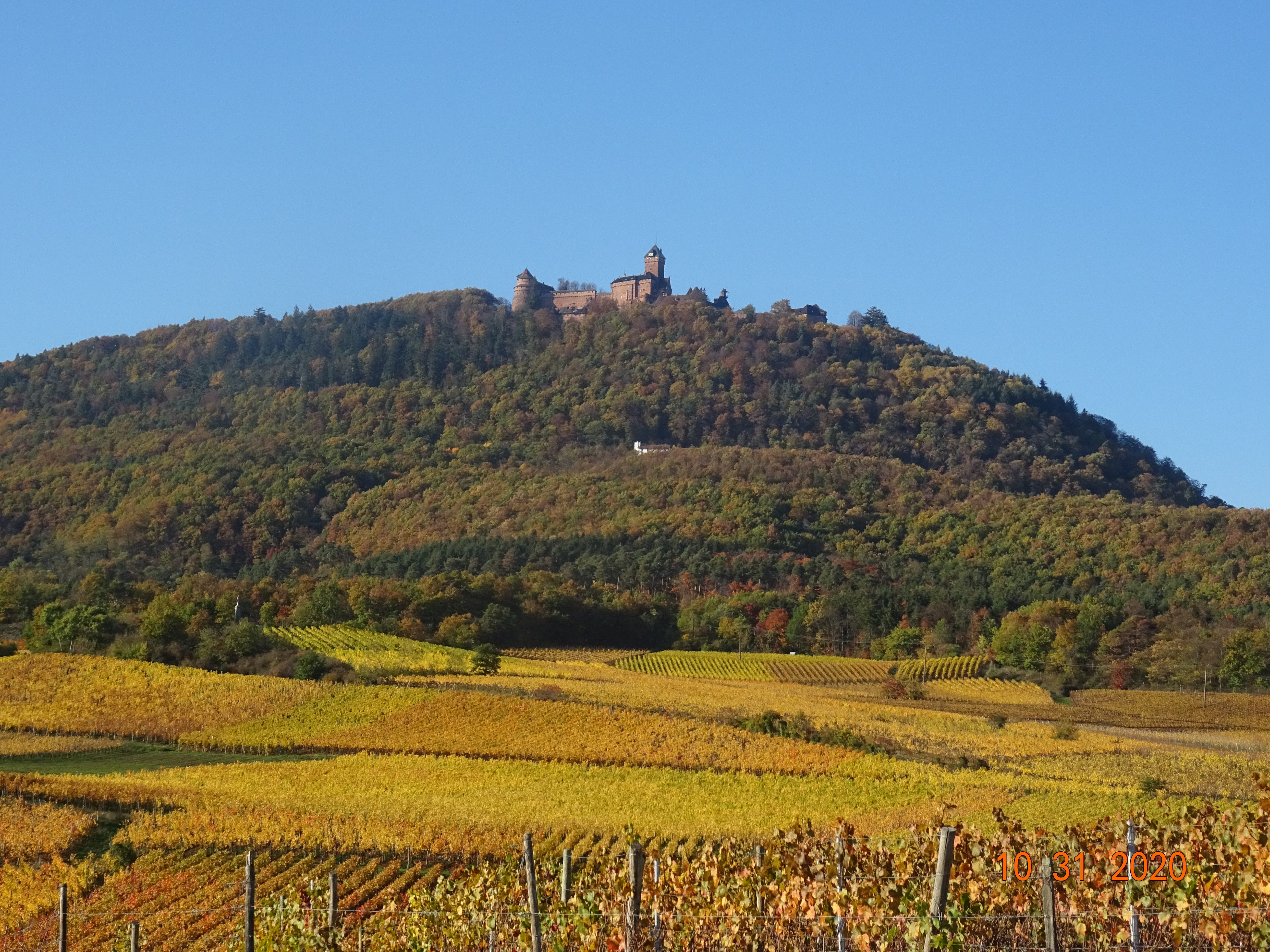 Gite *** At the foot of the Chateau du Haut Koenigsbourg