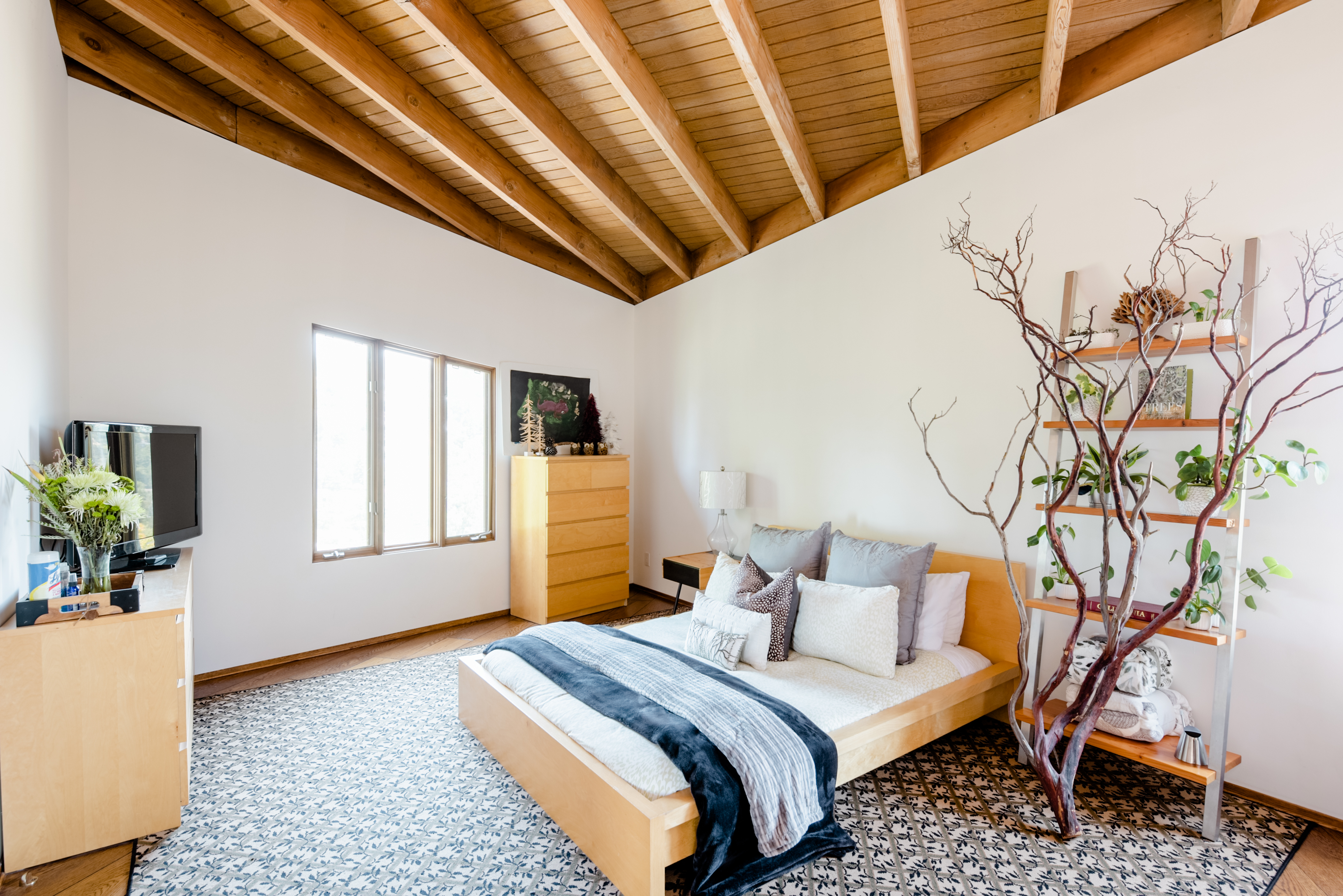 Tree branch private room in architectural home in Upper Rockridge, Oakland