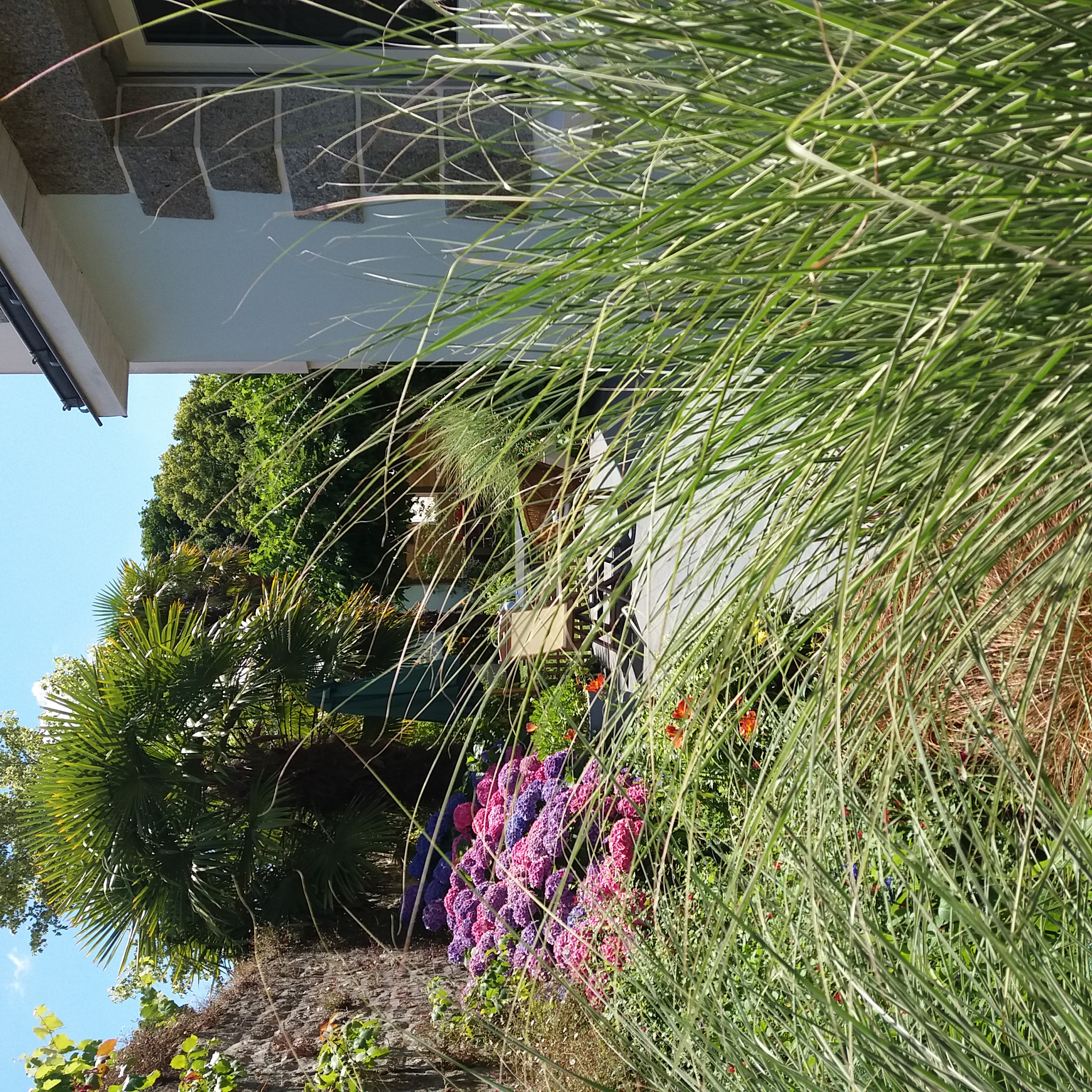 Lovely spacious and pleasant house, quiet