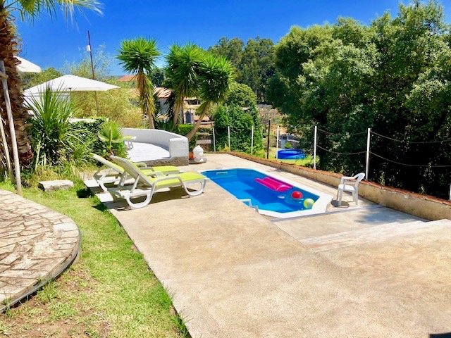 Villa Vegter- Villa with pool