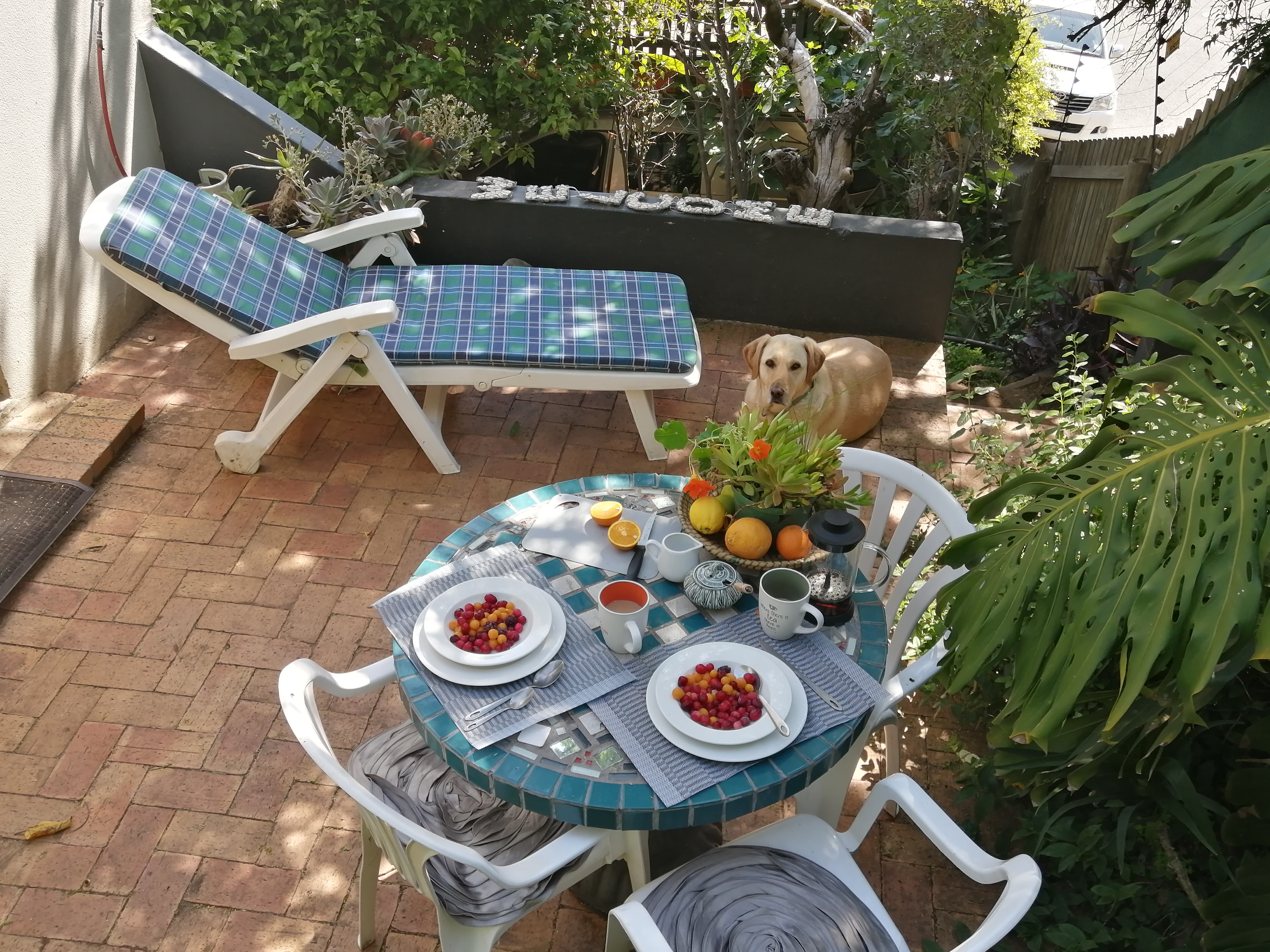 Open-plan garden flat + sunny patio in Ward 77, Cape Town