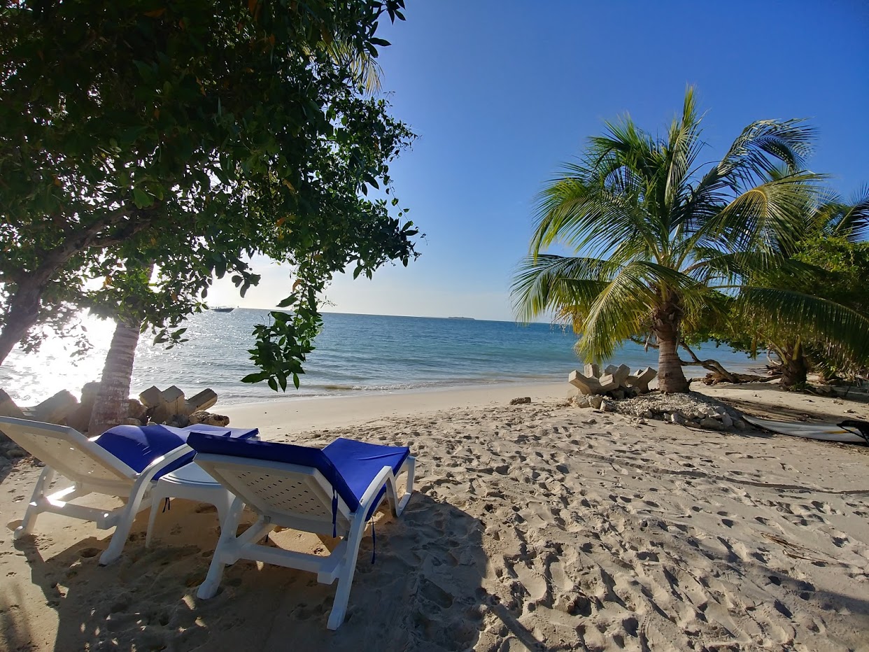 Casa Gaviota Baru Beach House just steps from the sea! Airbnb