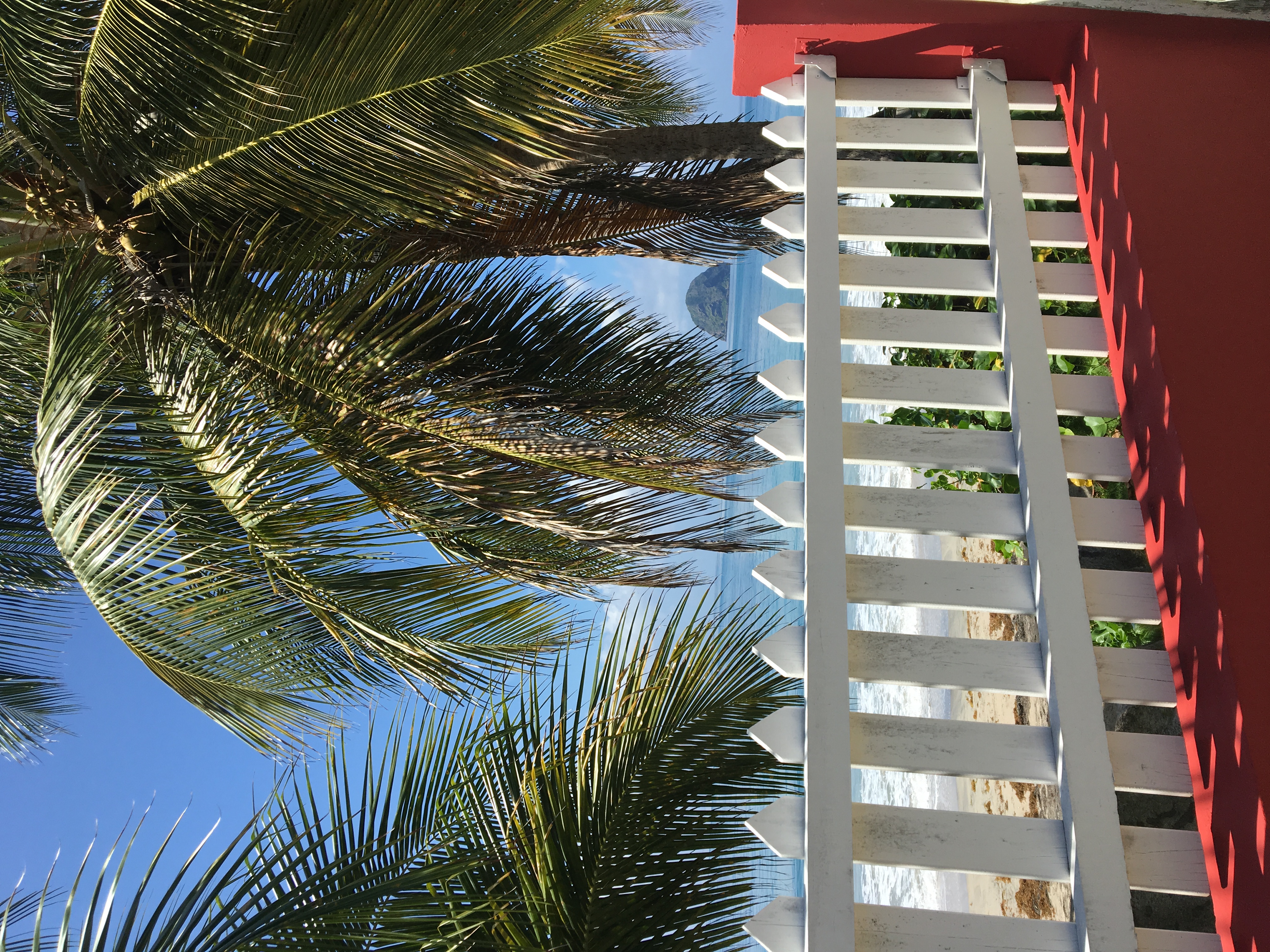 Villa on the beach with its pool, close to everything