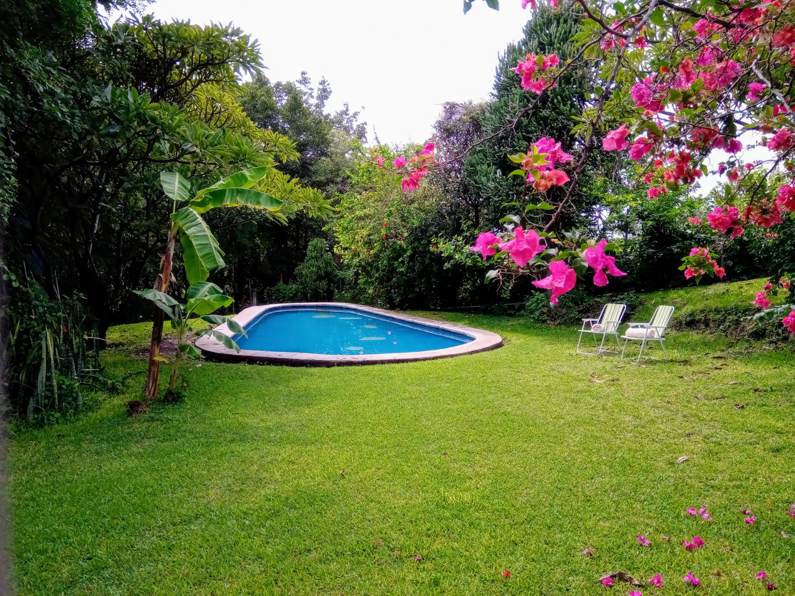 Lorien Casa Rural Jardín y alberca. Pet friendly