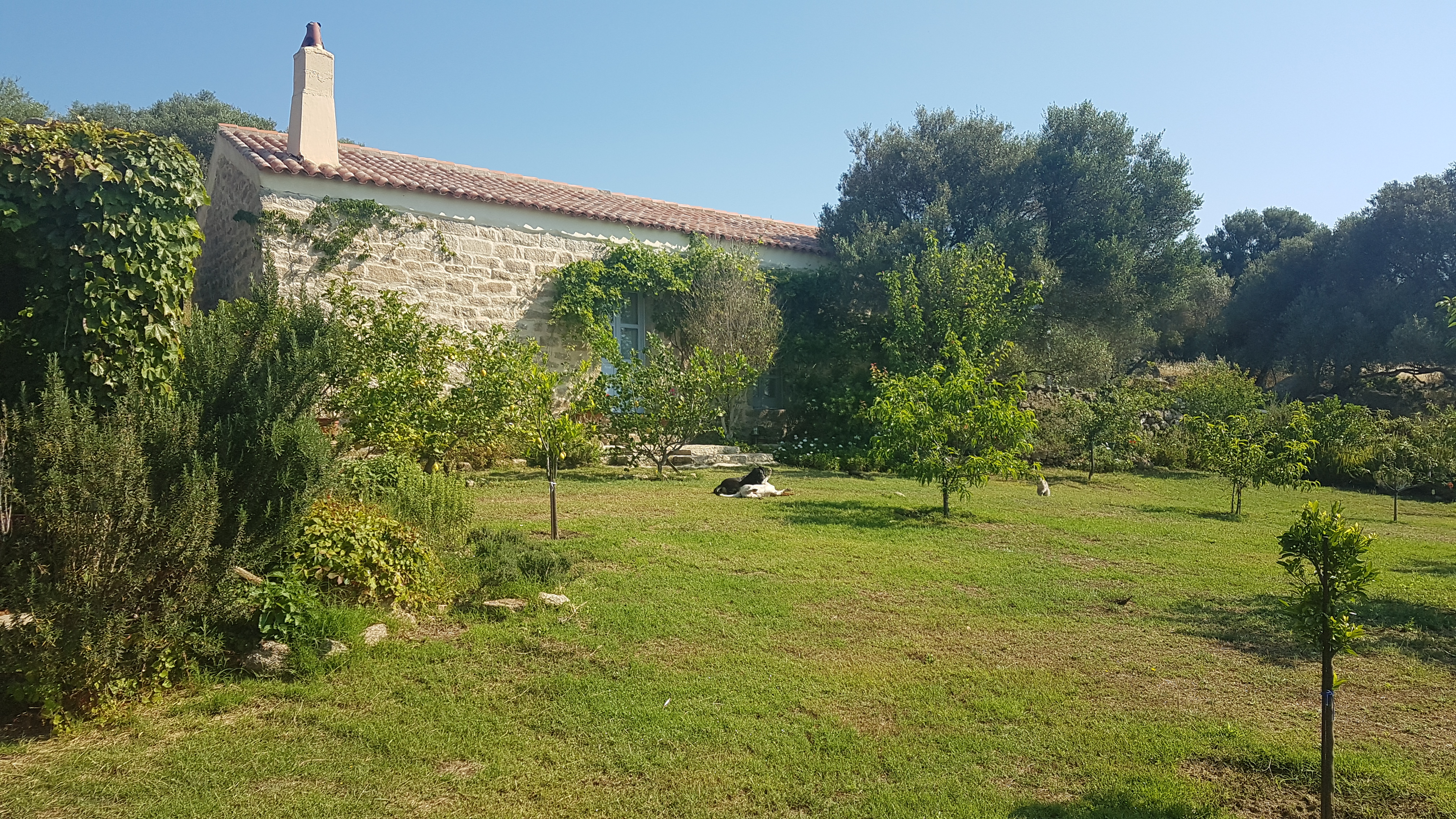Casa Anita