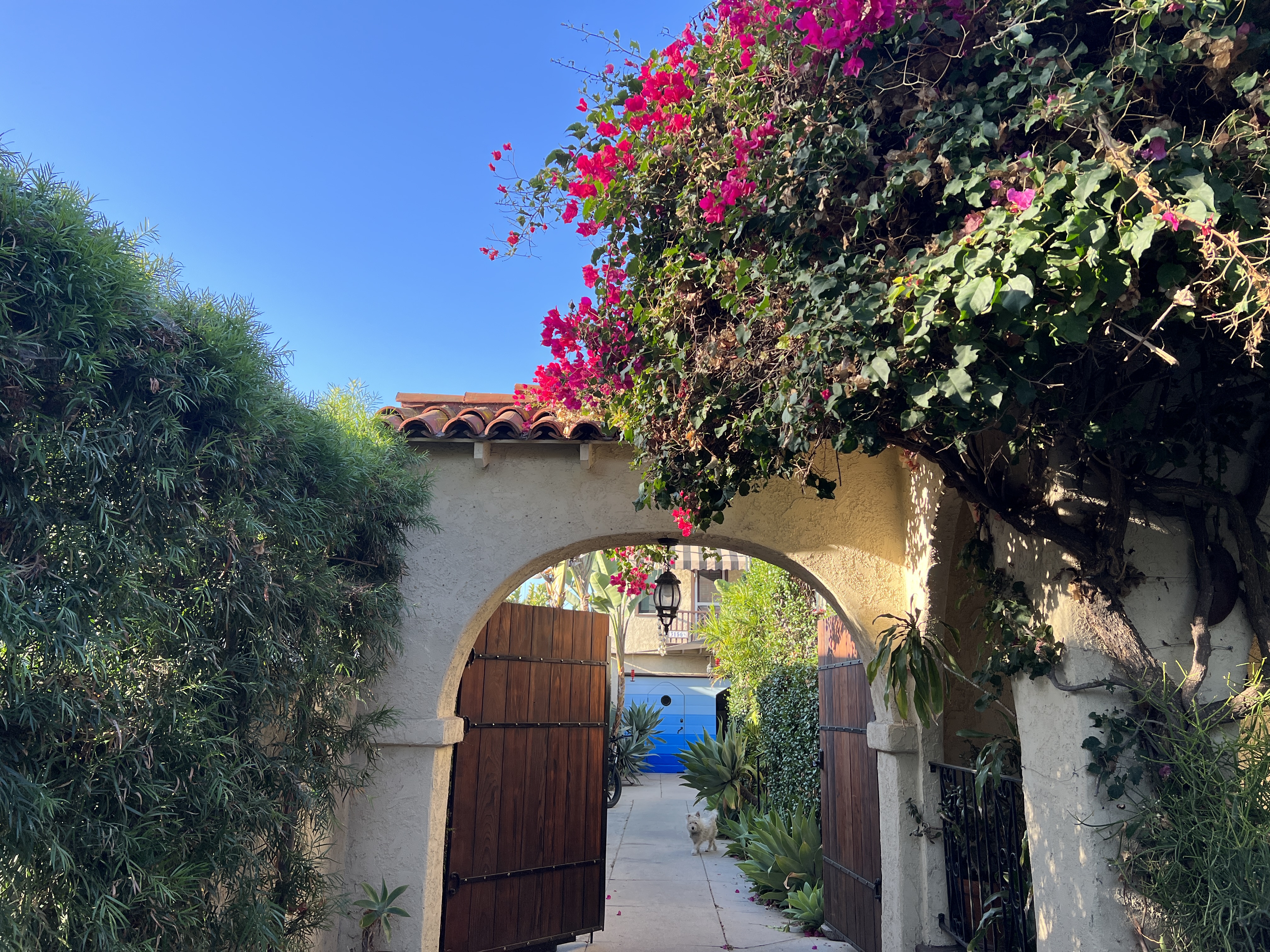 Private Spanish Guest House : Casa Bougainvillea in Atwater Village, Los Angeles