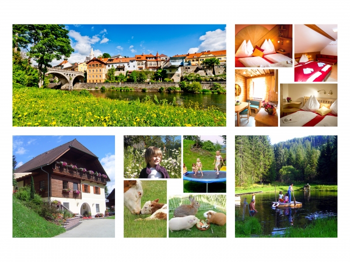 Family studio on organic farm near Murau