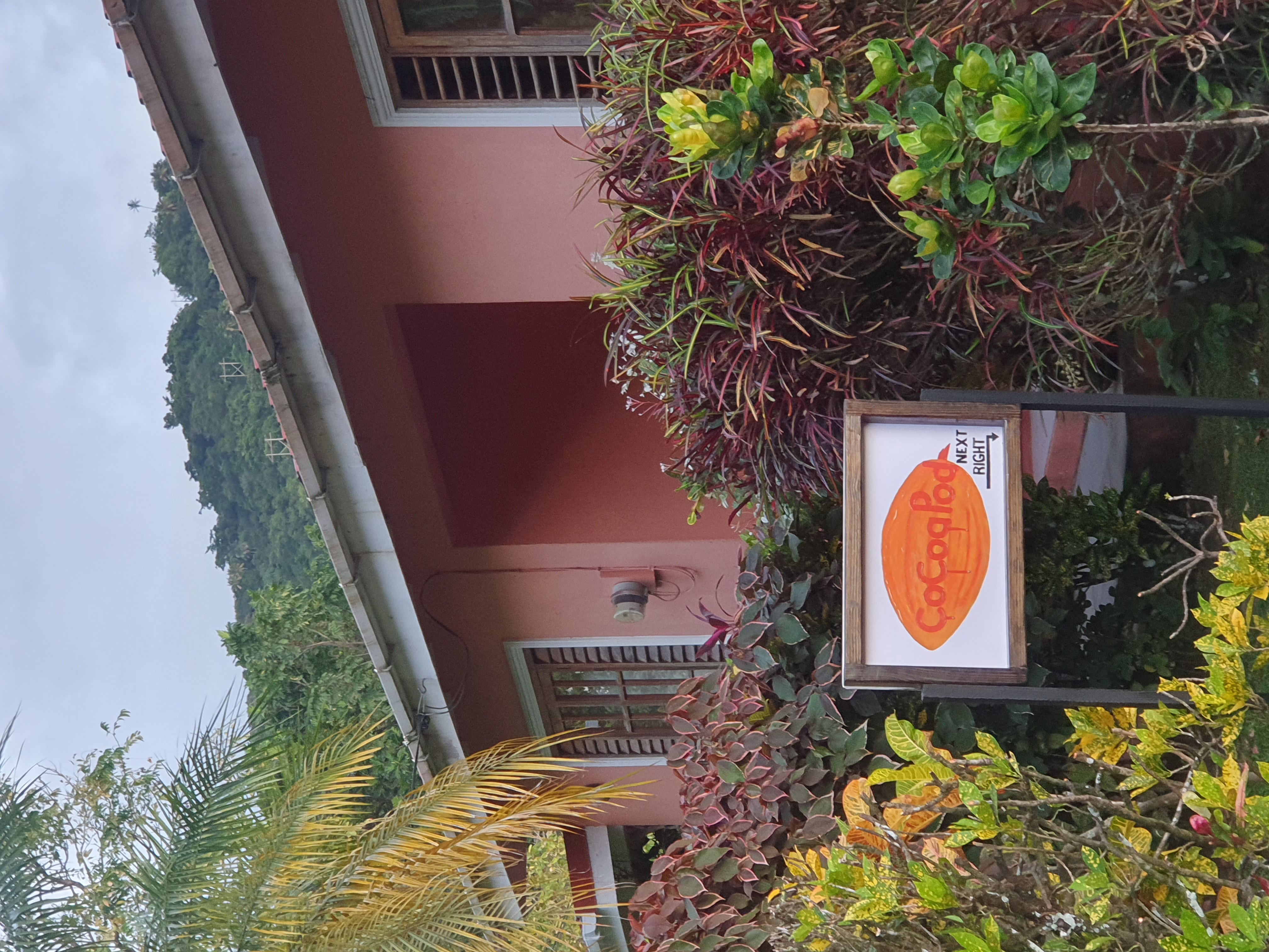 Cocoa Pod Studio